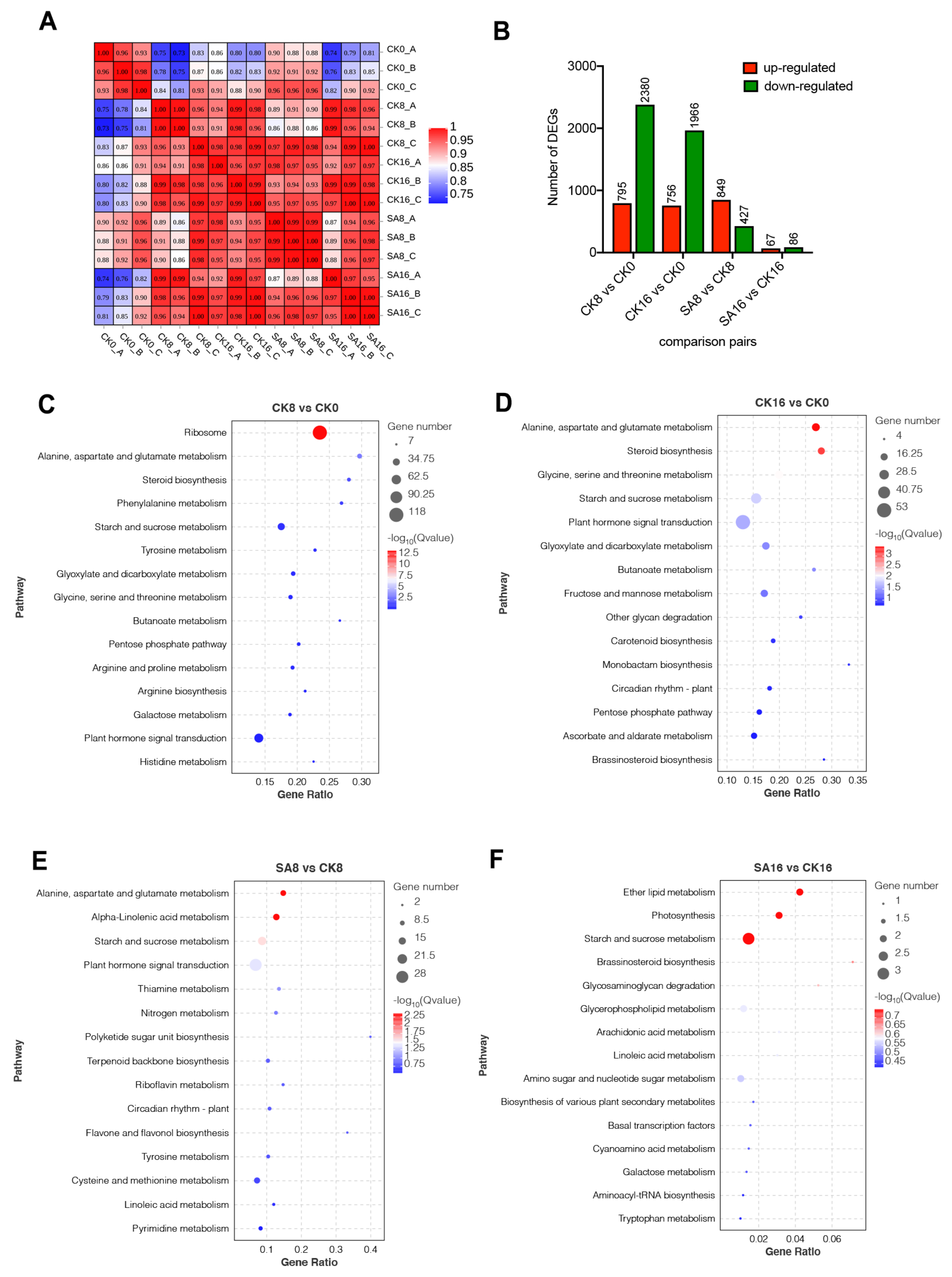 Plants 12 03429 g004