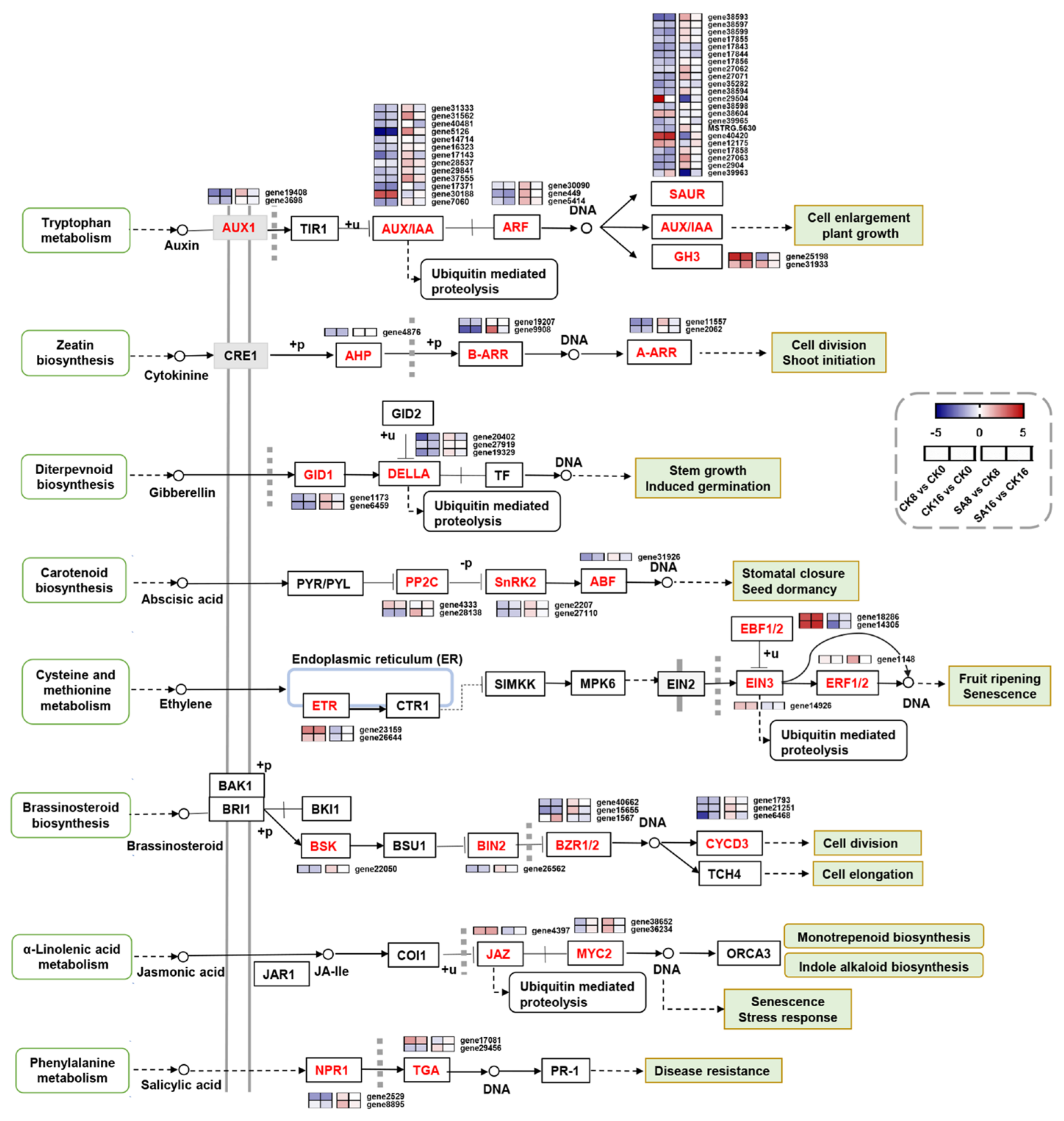 Plants 12 03429 g005