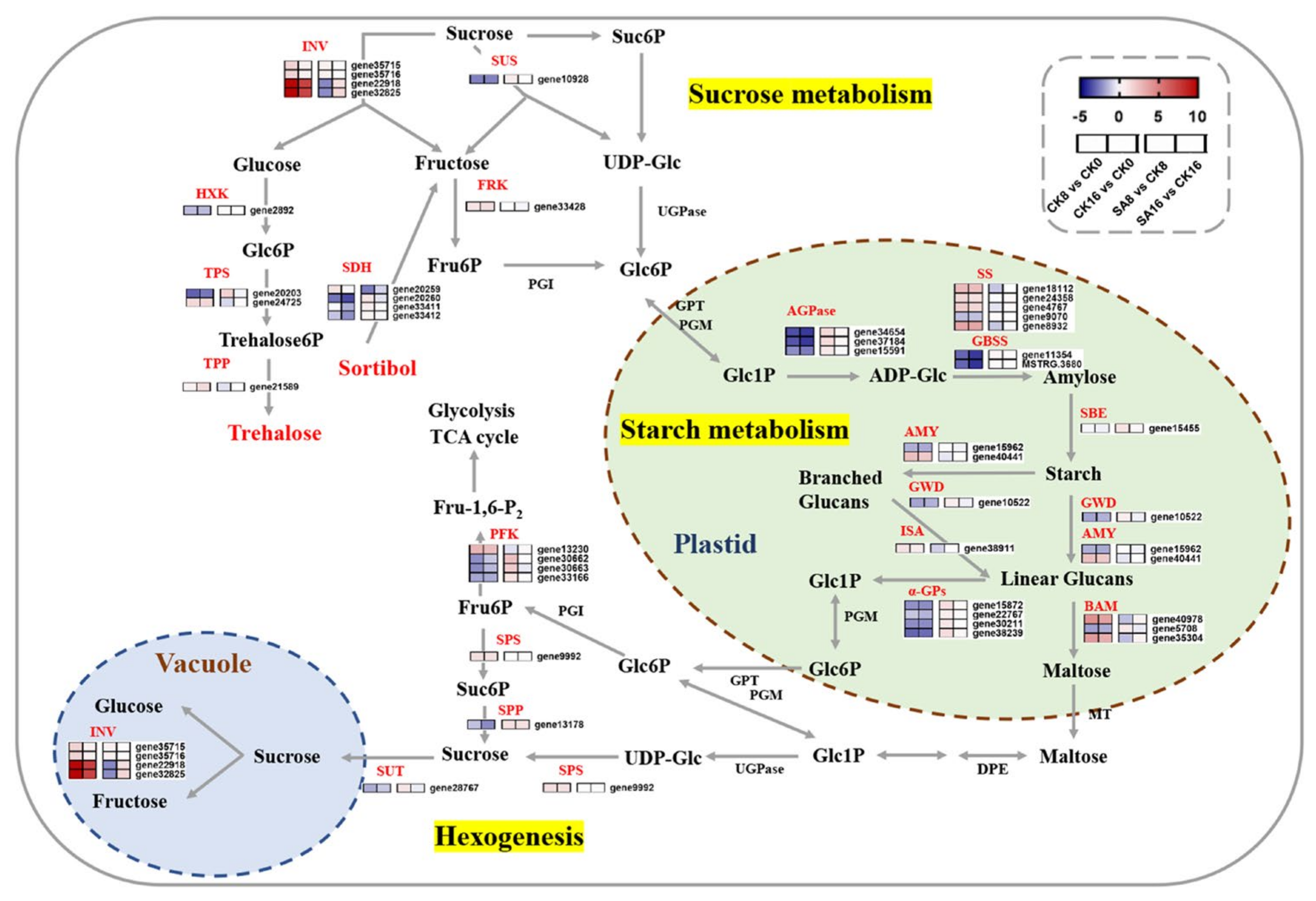 Plants 12 03429 g006