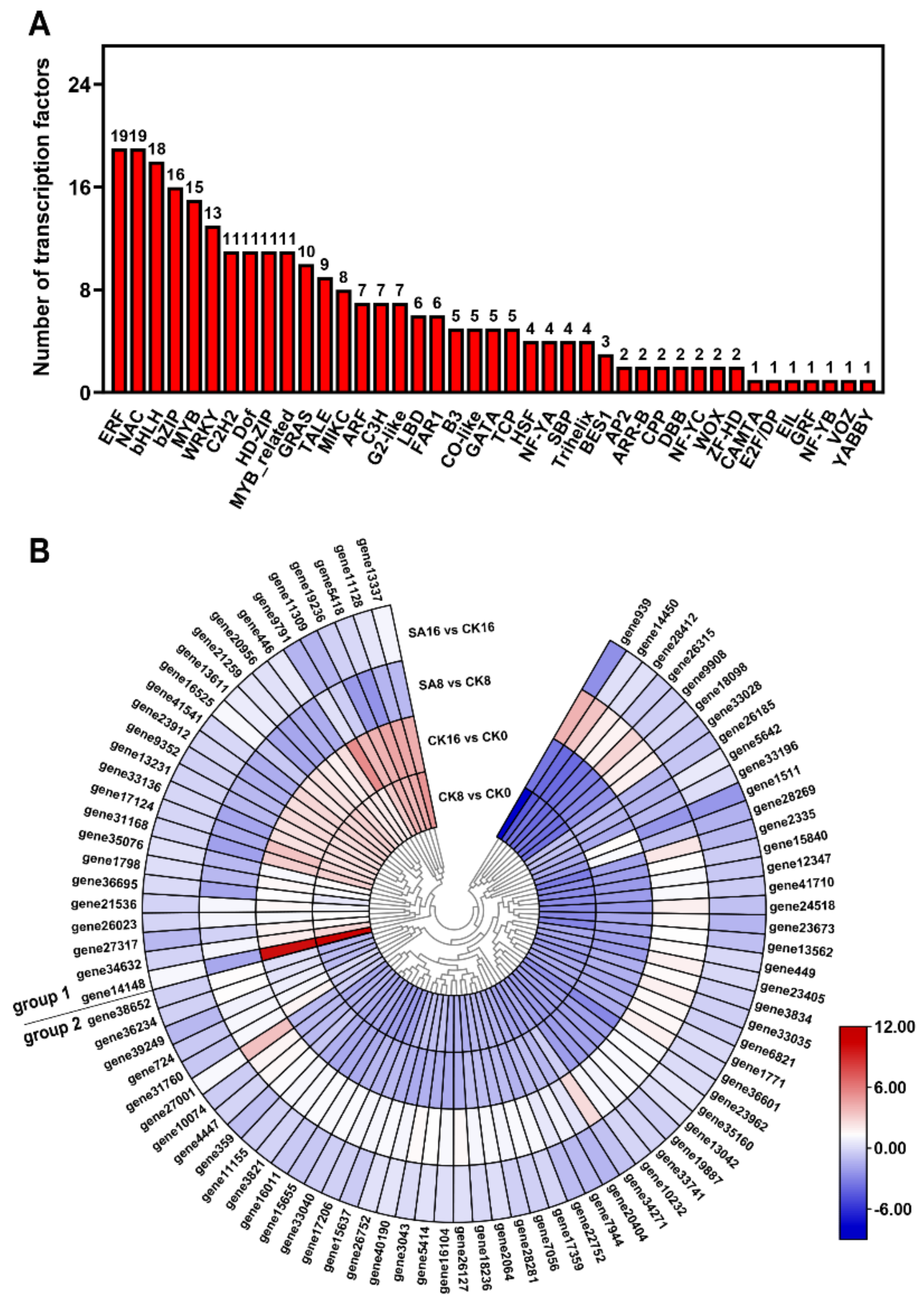 Plants 12 03429 g008