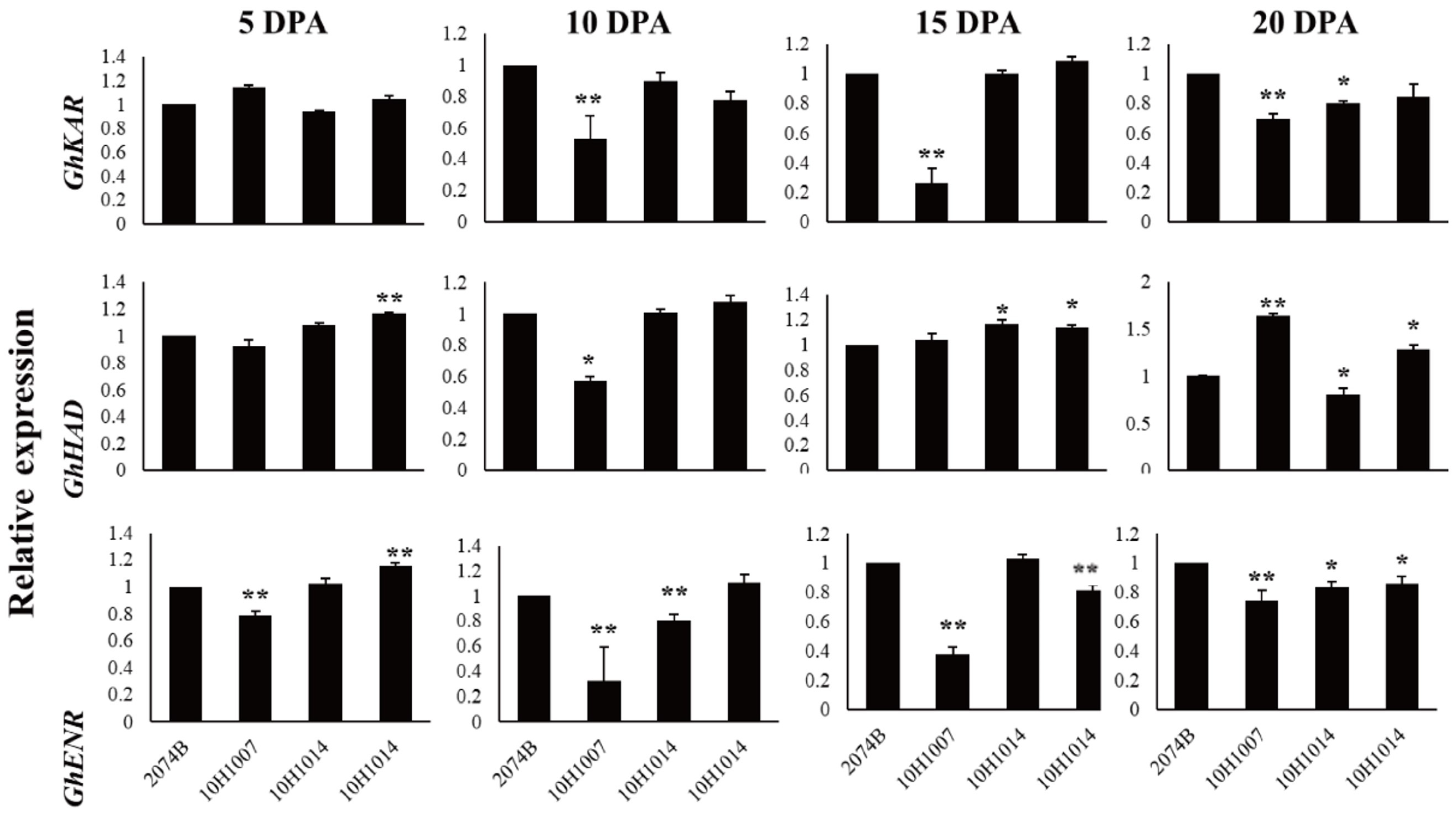 Plants 12 03437 g003