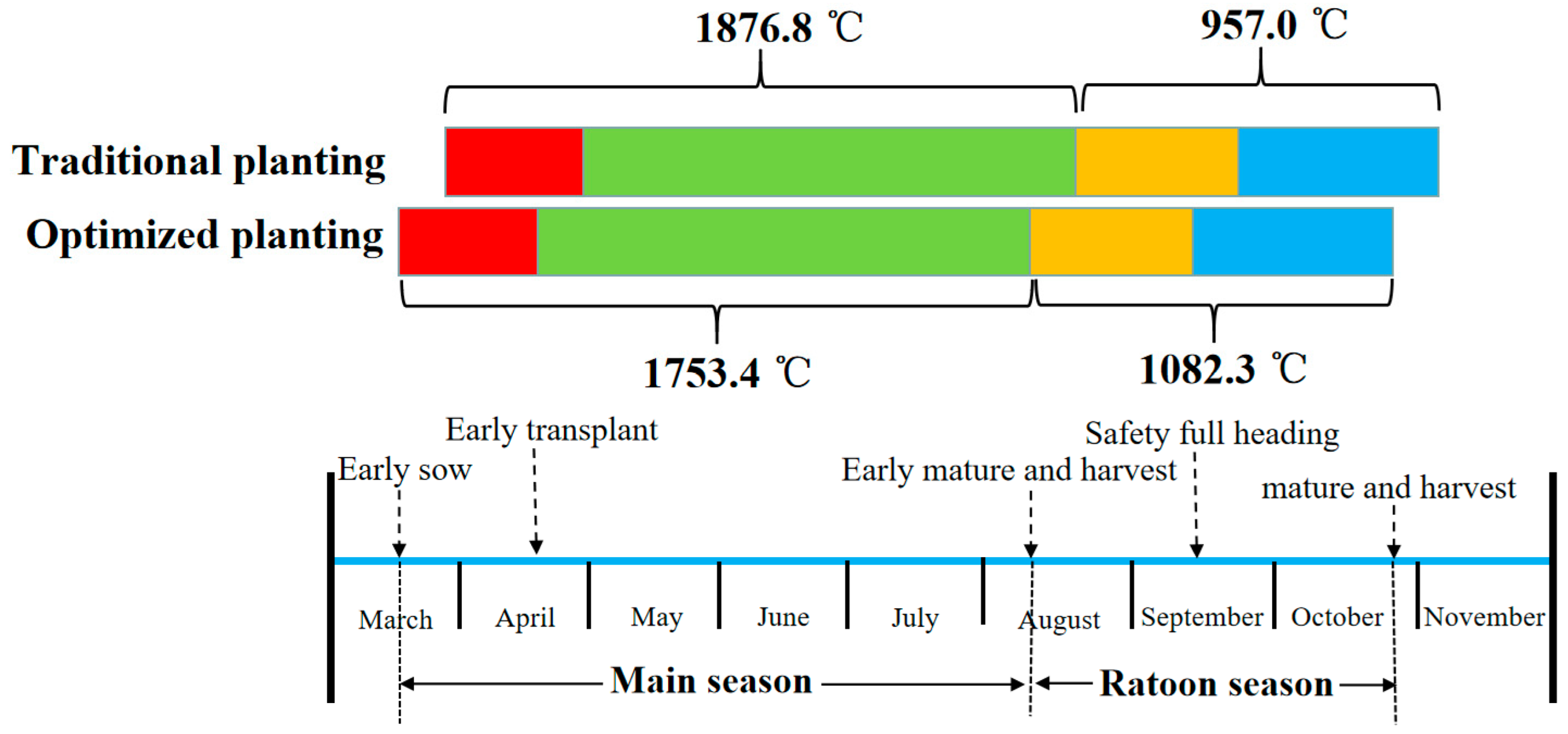 Plants 12 03446 g003