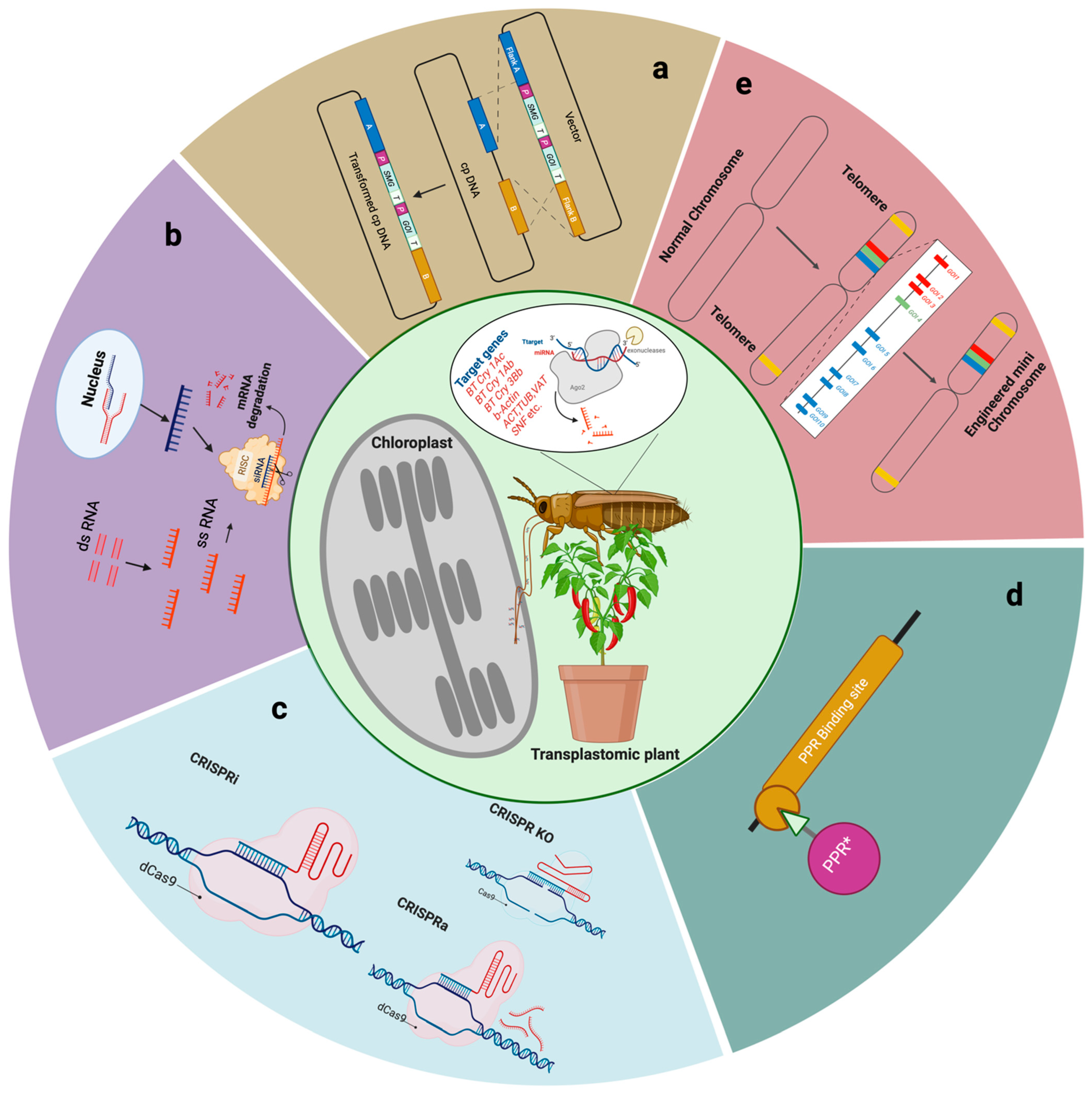 Plants 12 03448 g001