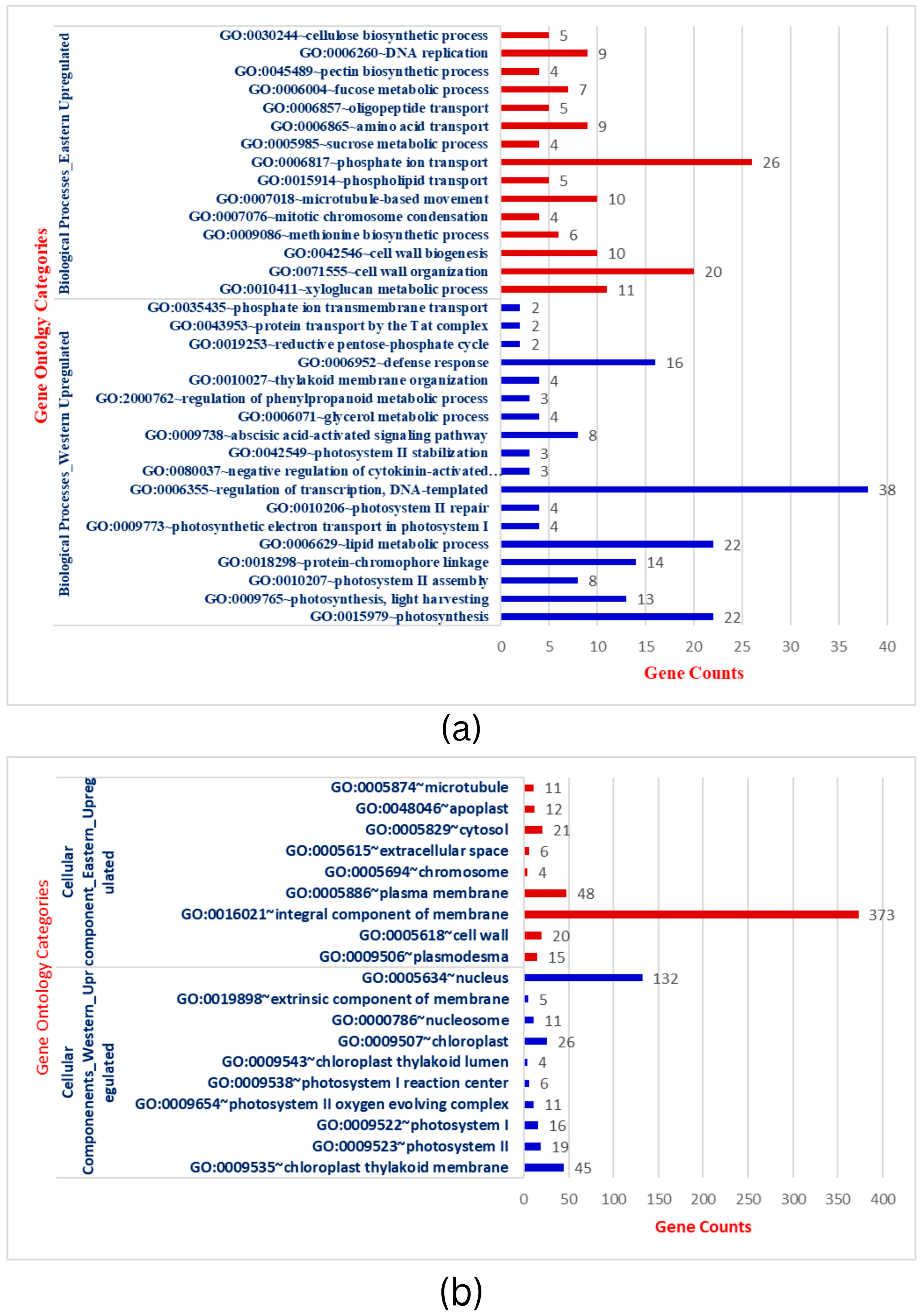 Plants 12 03449 g002a Plants 12 03449 g002a