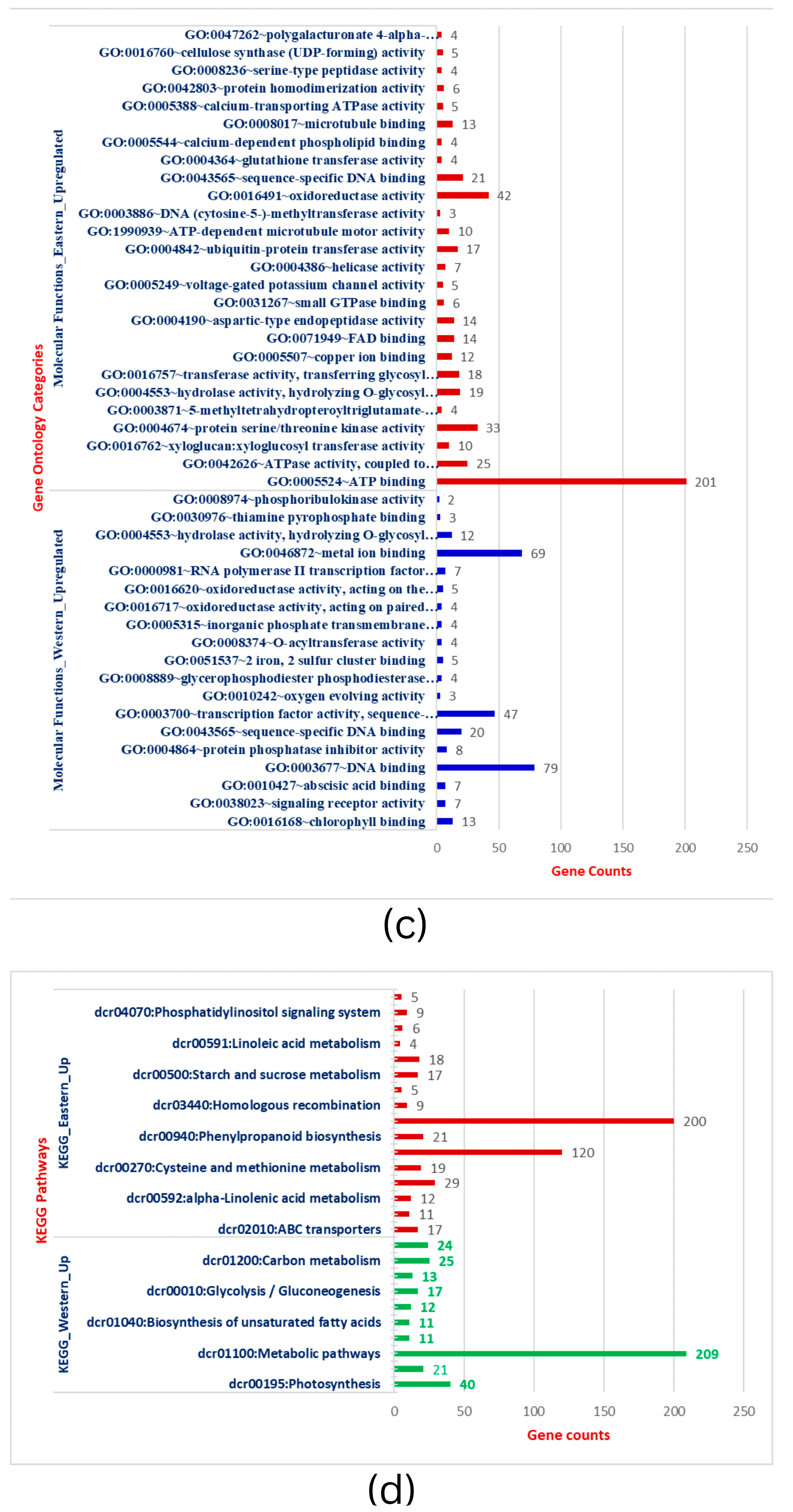 Plants 12 03449 g002b Plants 12 03449 g002b