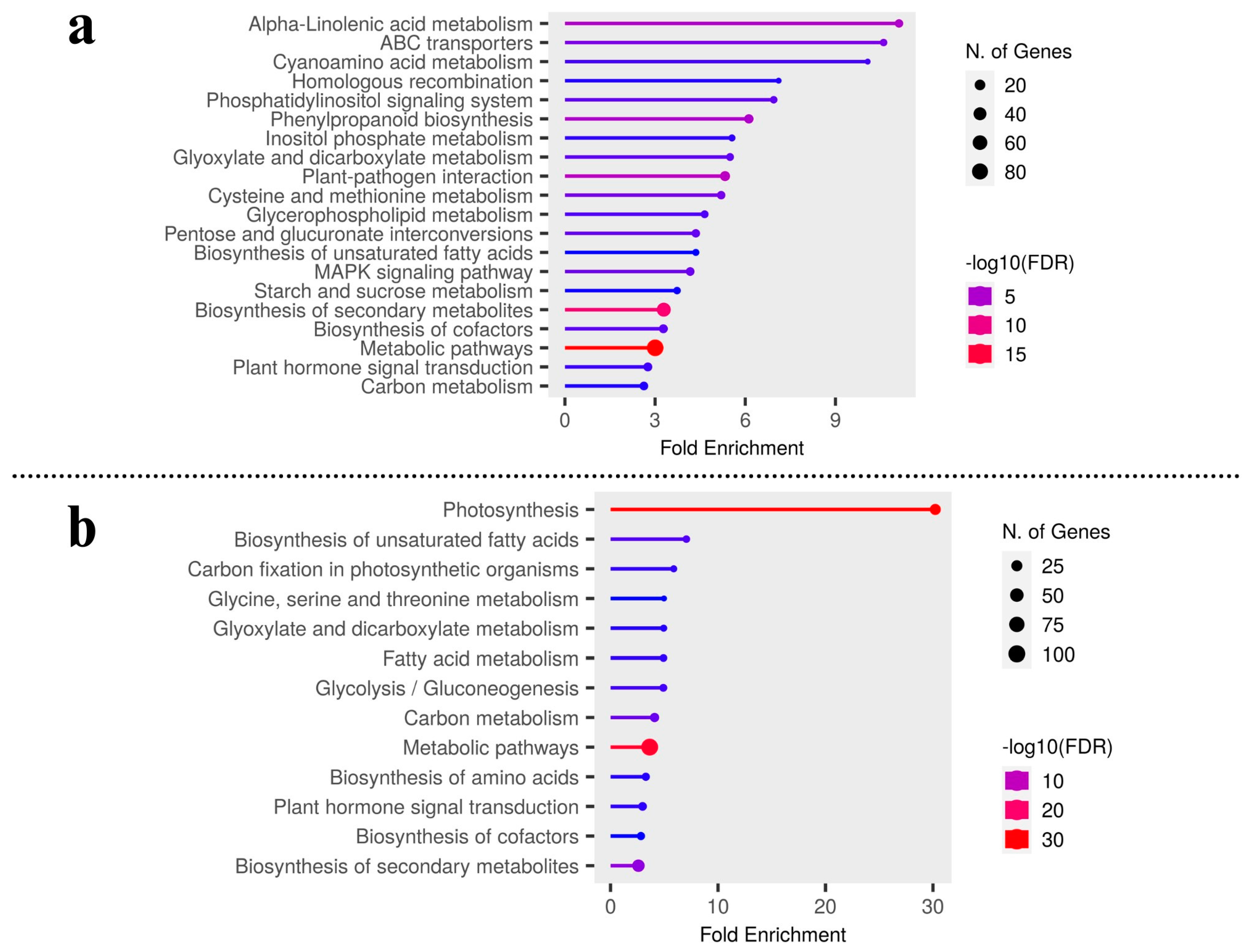Plants 12 03449 g003 Plants 12 03449 g003