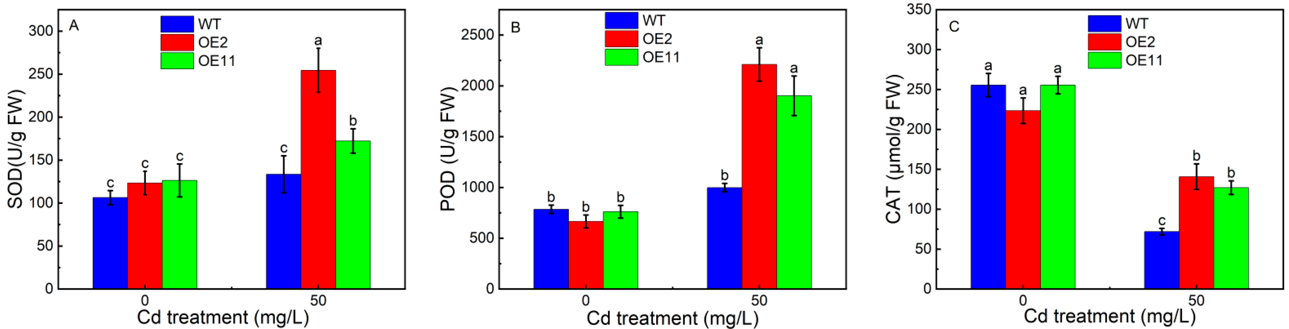 Plants 12 03460 g002