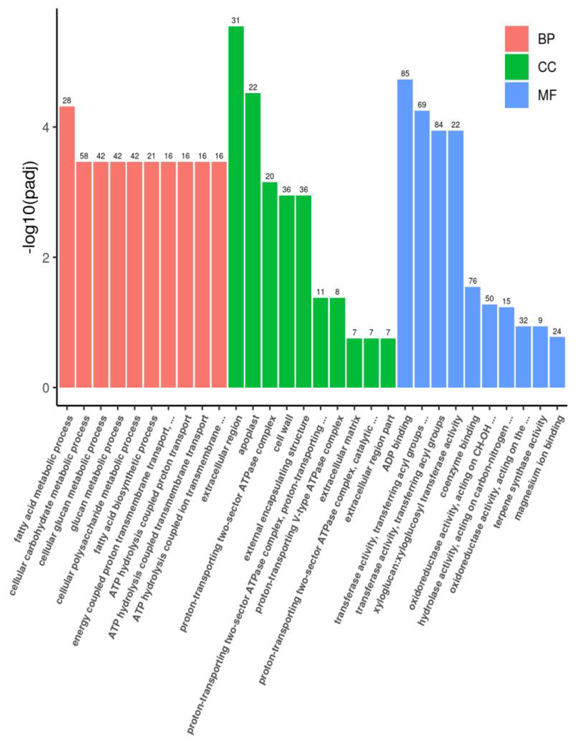Plants 12 03461 g003