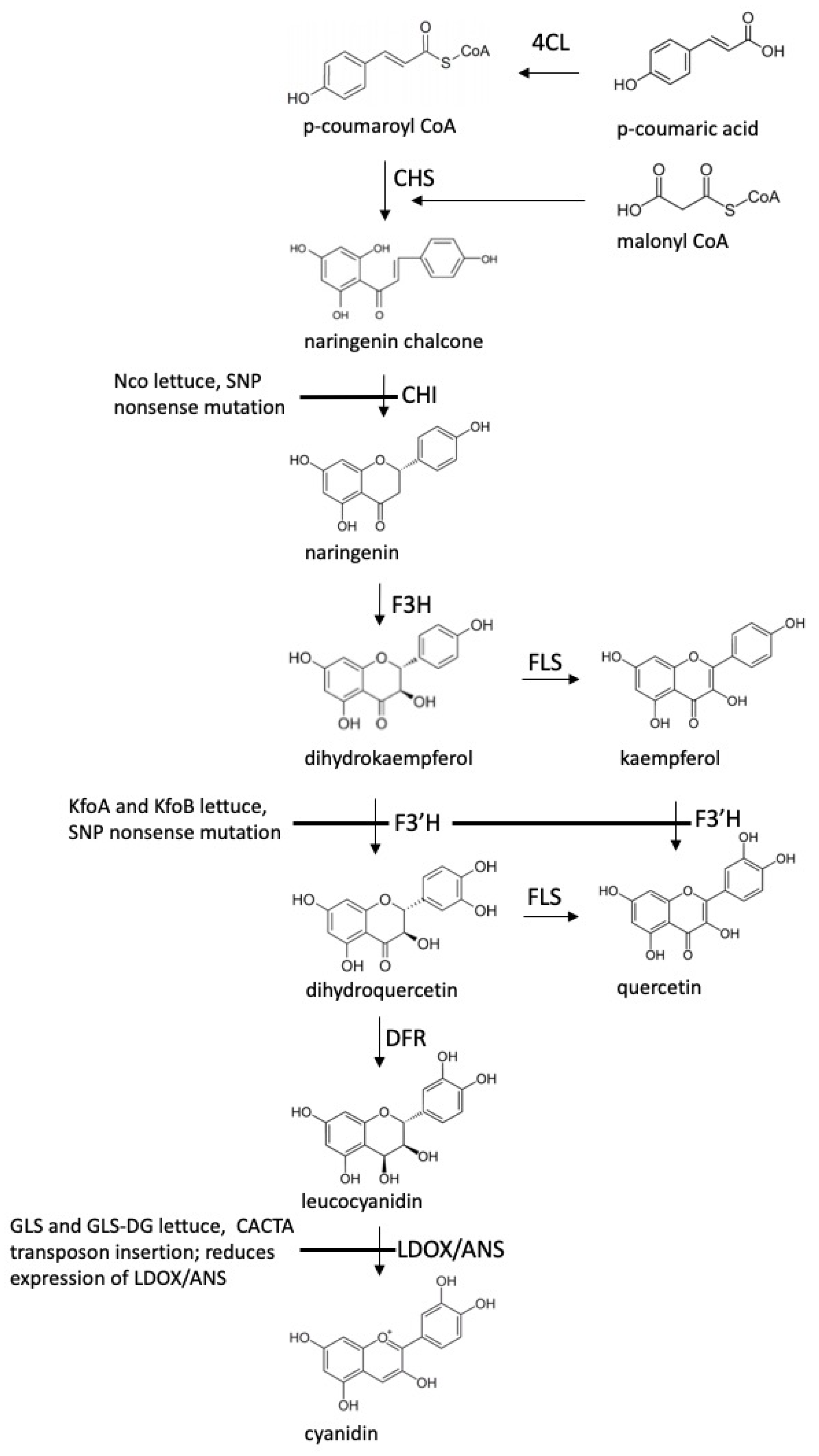 Plants 12 03467 g001