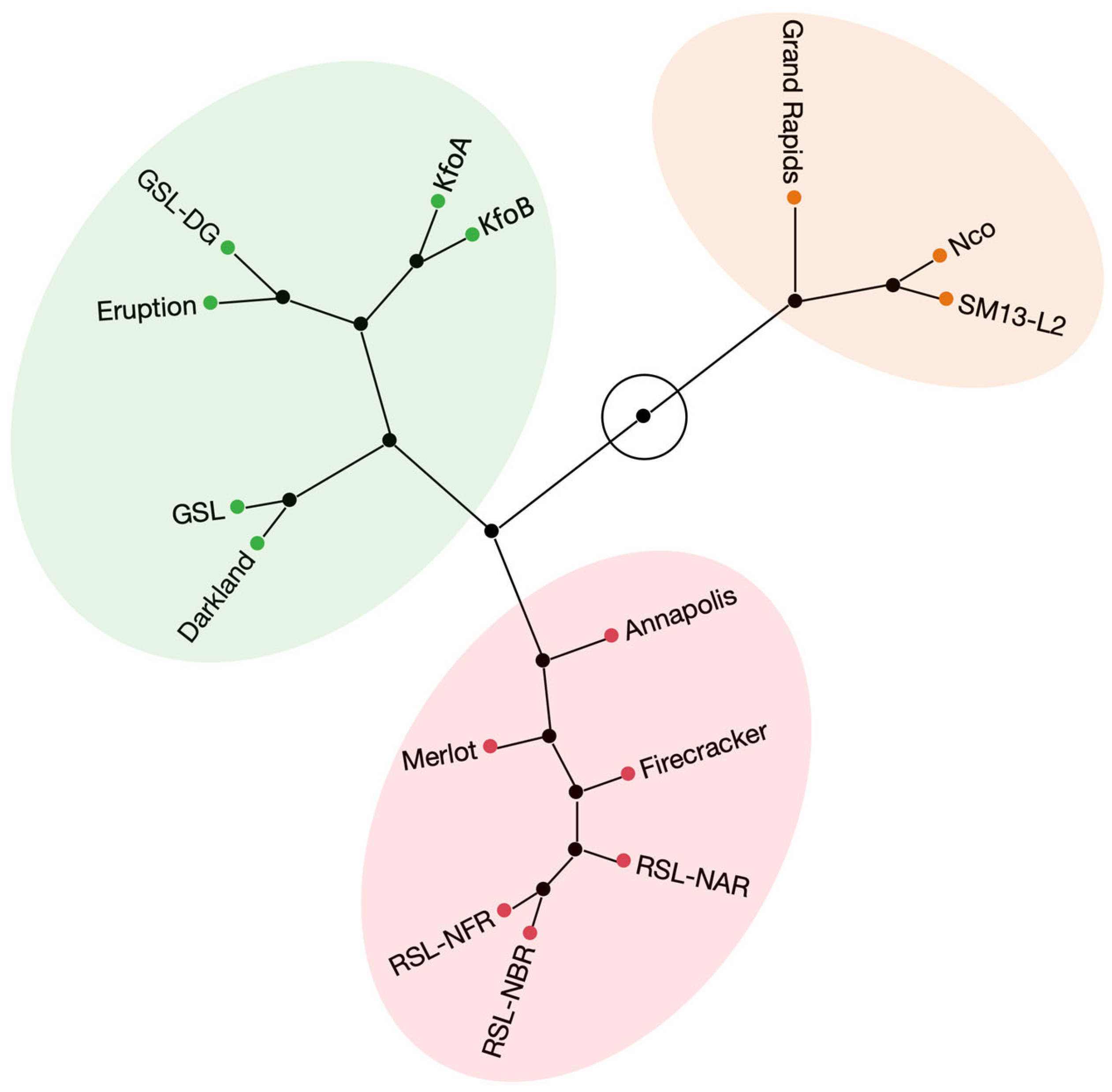 Plants 12 03467 g002