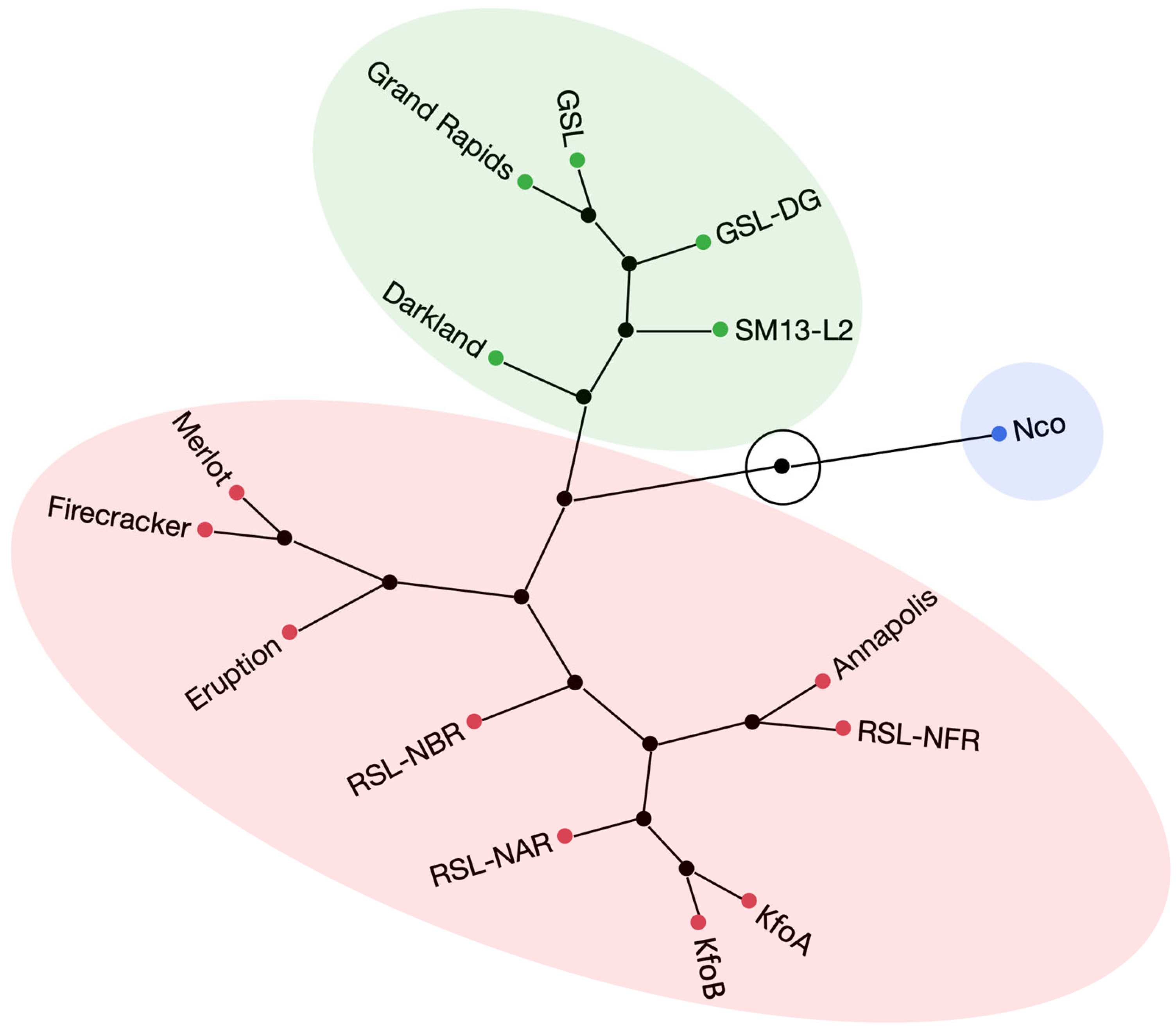 Plants 12 03467 g003