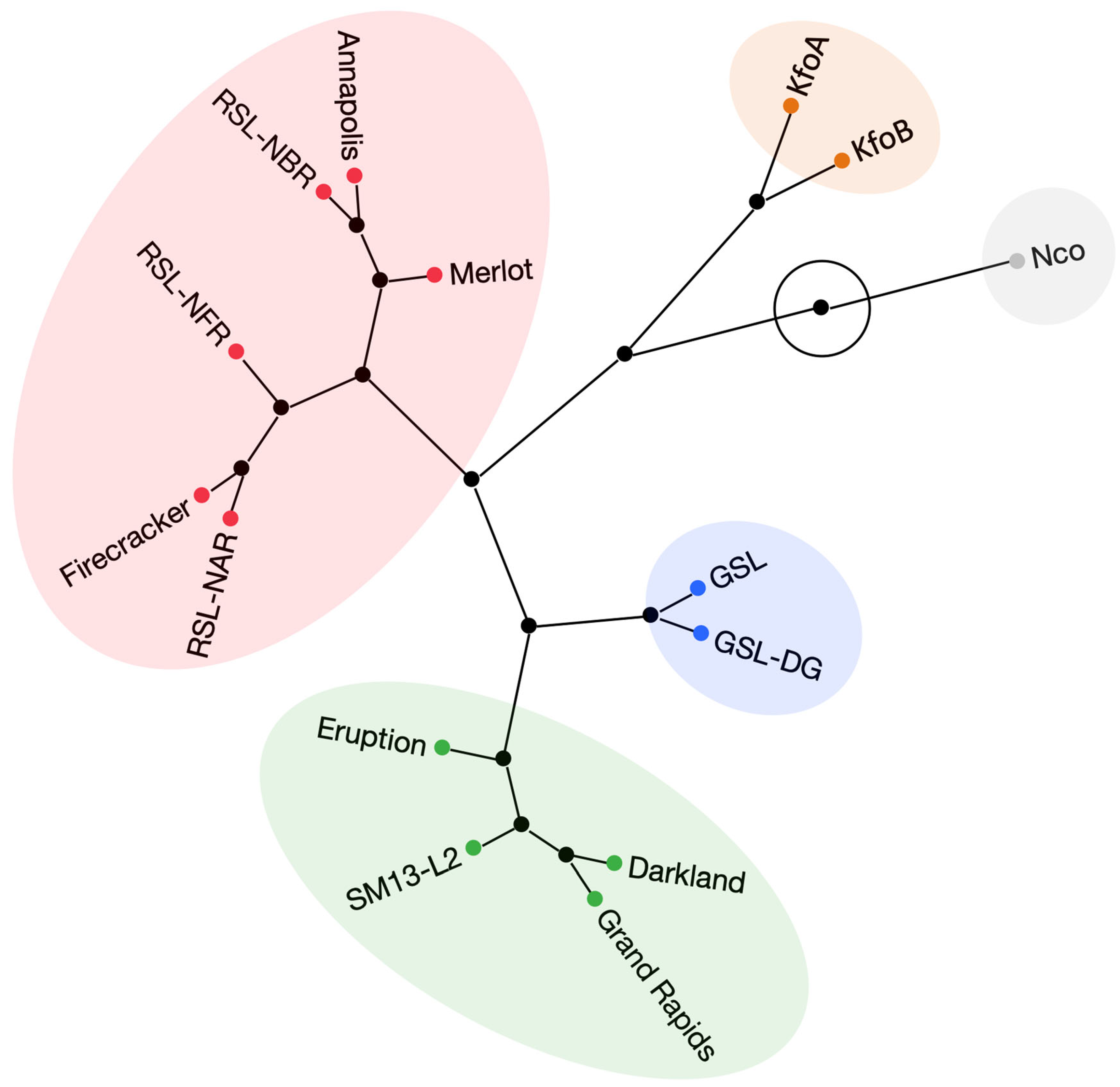 Plants 12 03467 g006