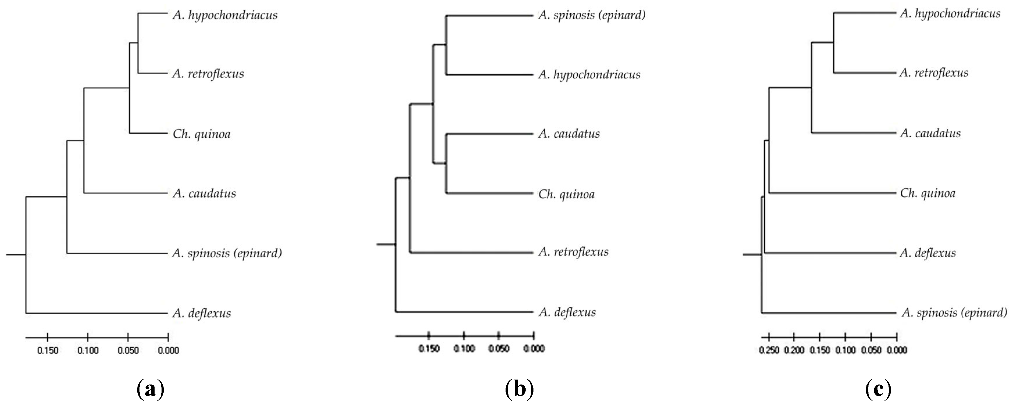 Plants 12 03470 g001 Plants 12 03470 g001