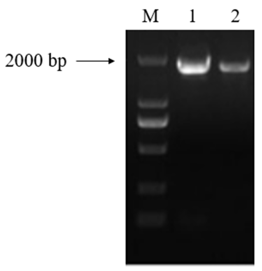 Plants 12 03485 g002