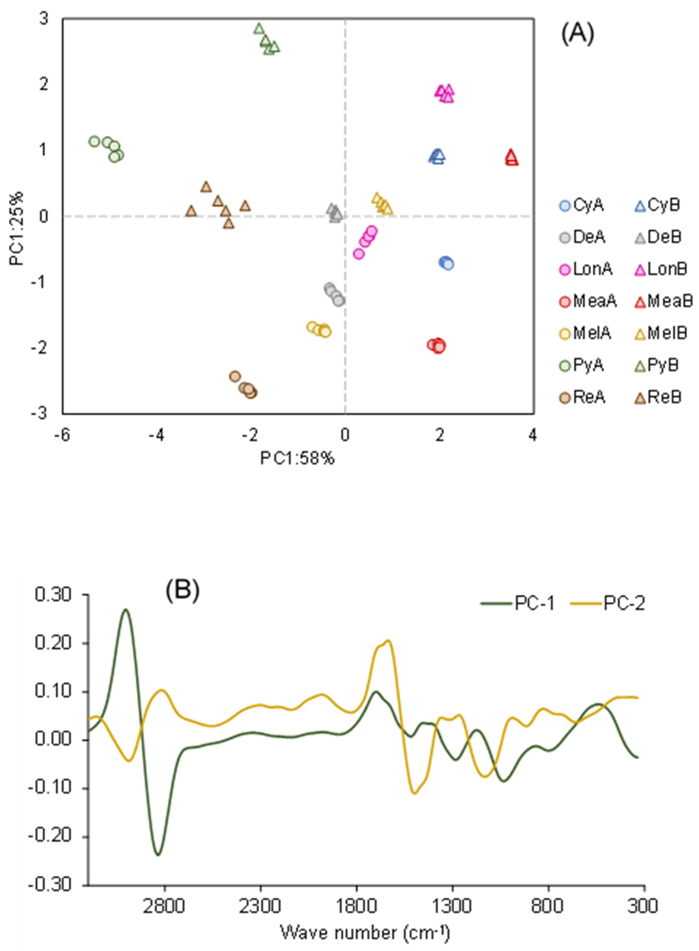 Plants 12 03486 g006
