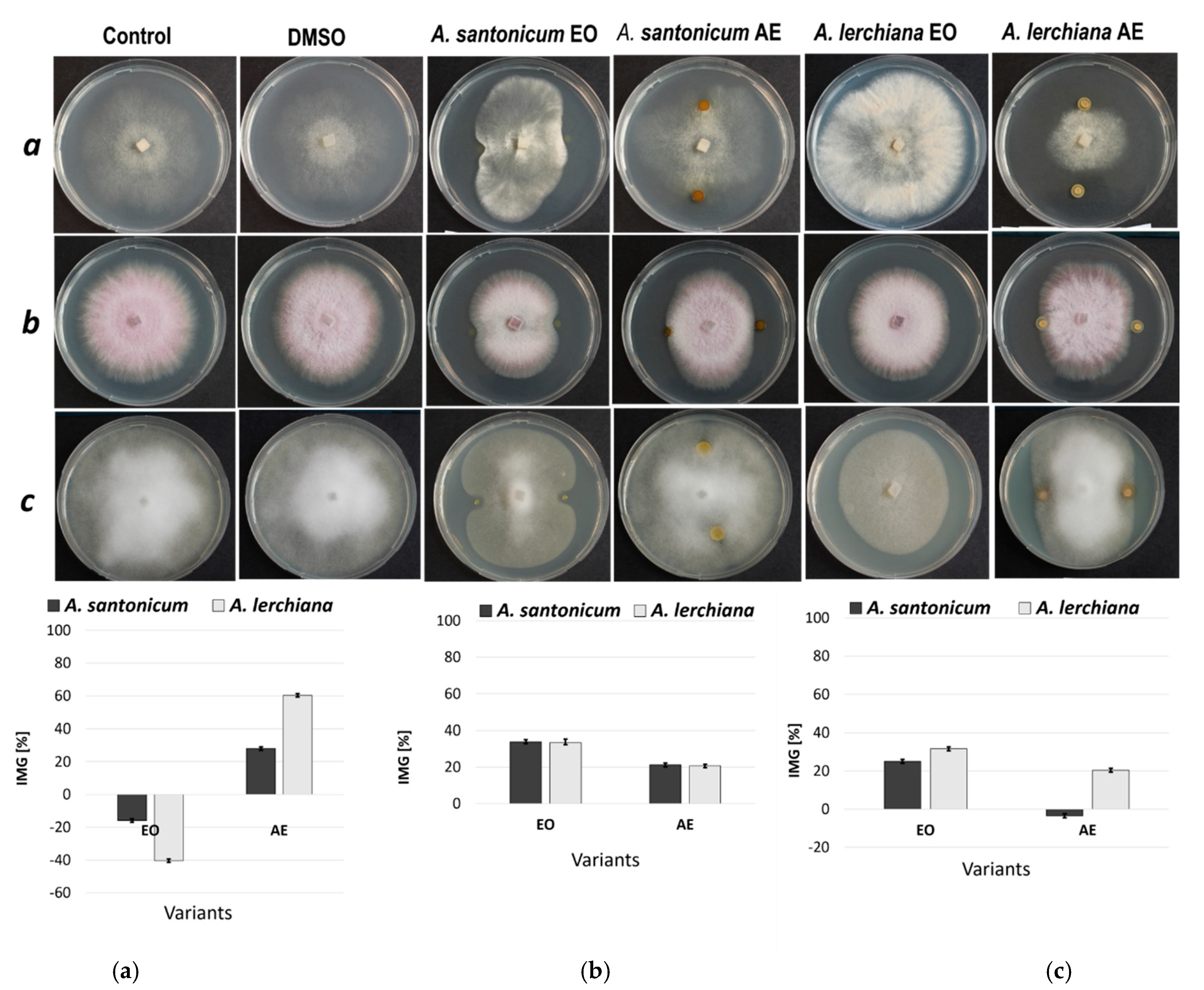 Plants 12 03491 g002