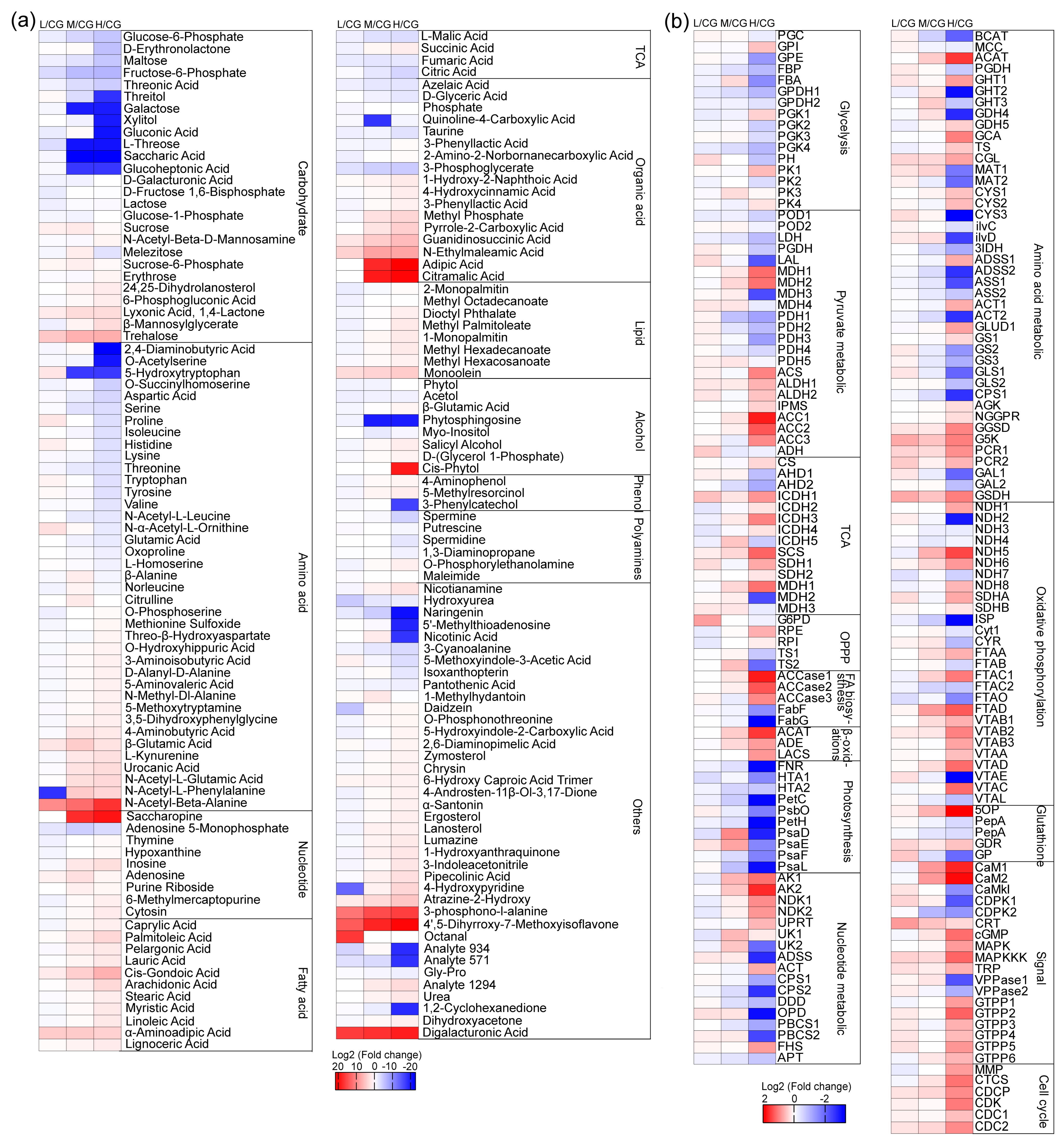 Plants 12 03495 g004 Plants 12 03495 g004
