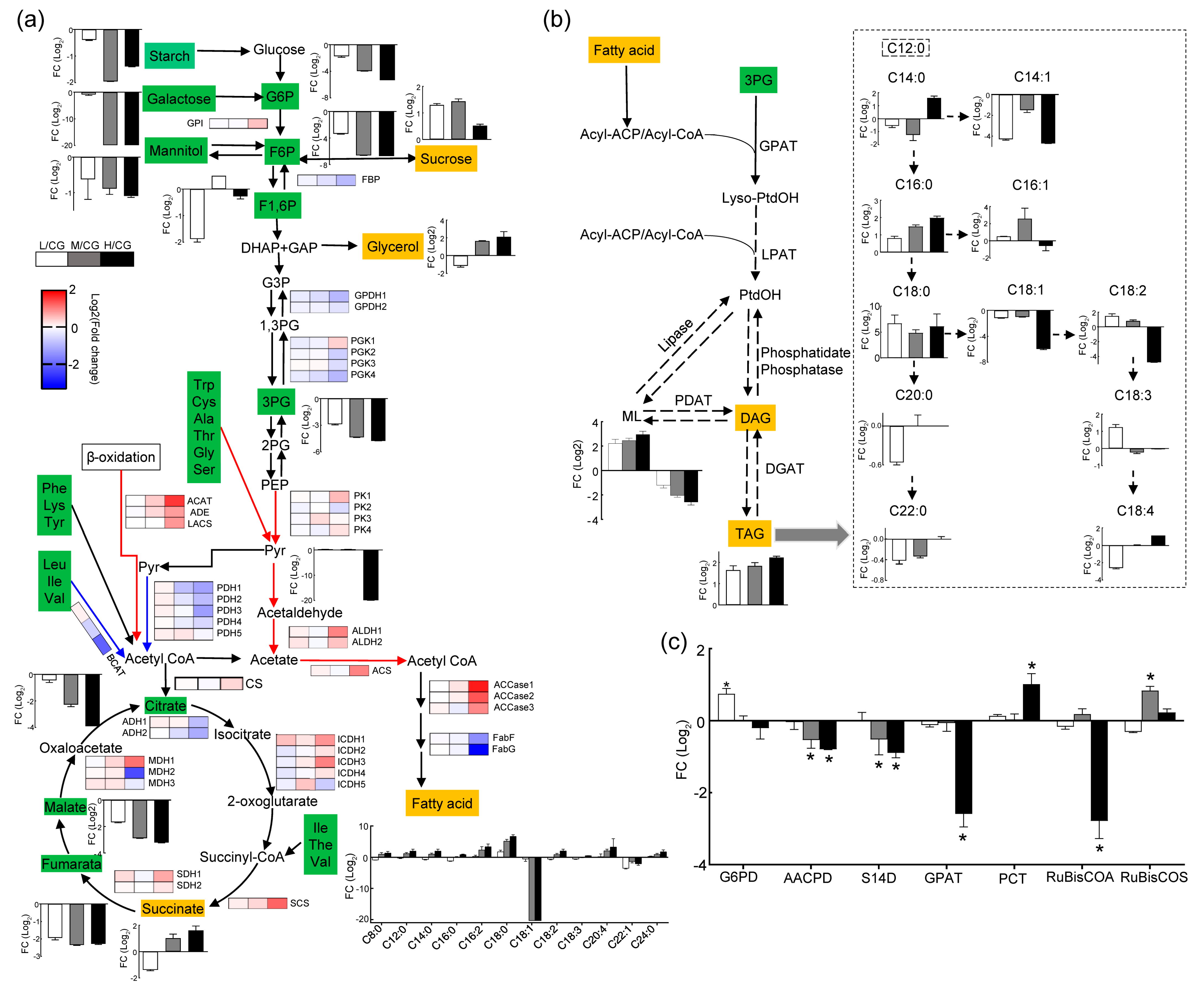 Plants 12 03495 g005 Plants 12 03495 g005