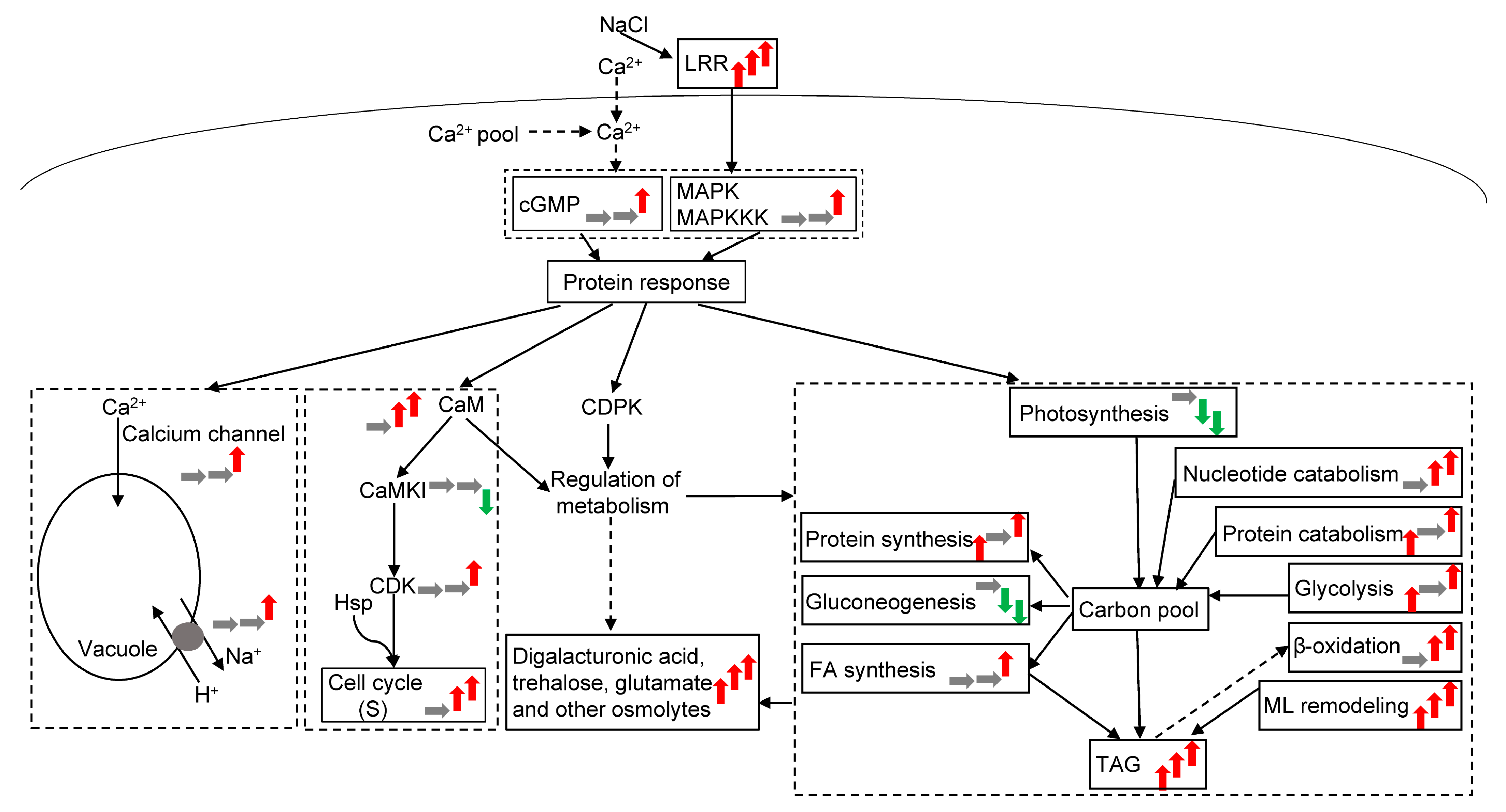 Plants 12 03495 g006 Plants 12 03495 g006