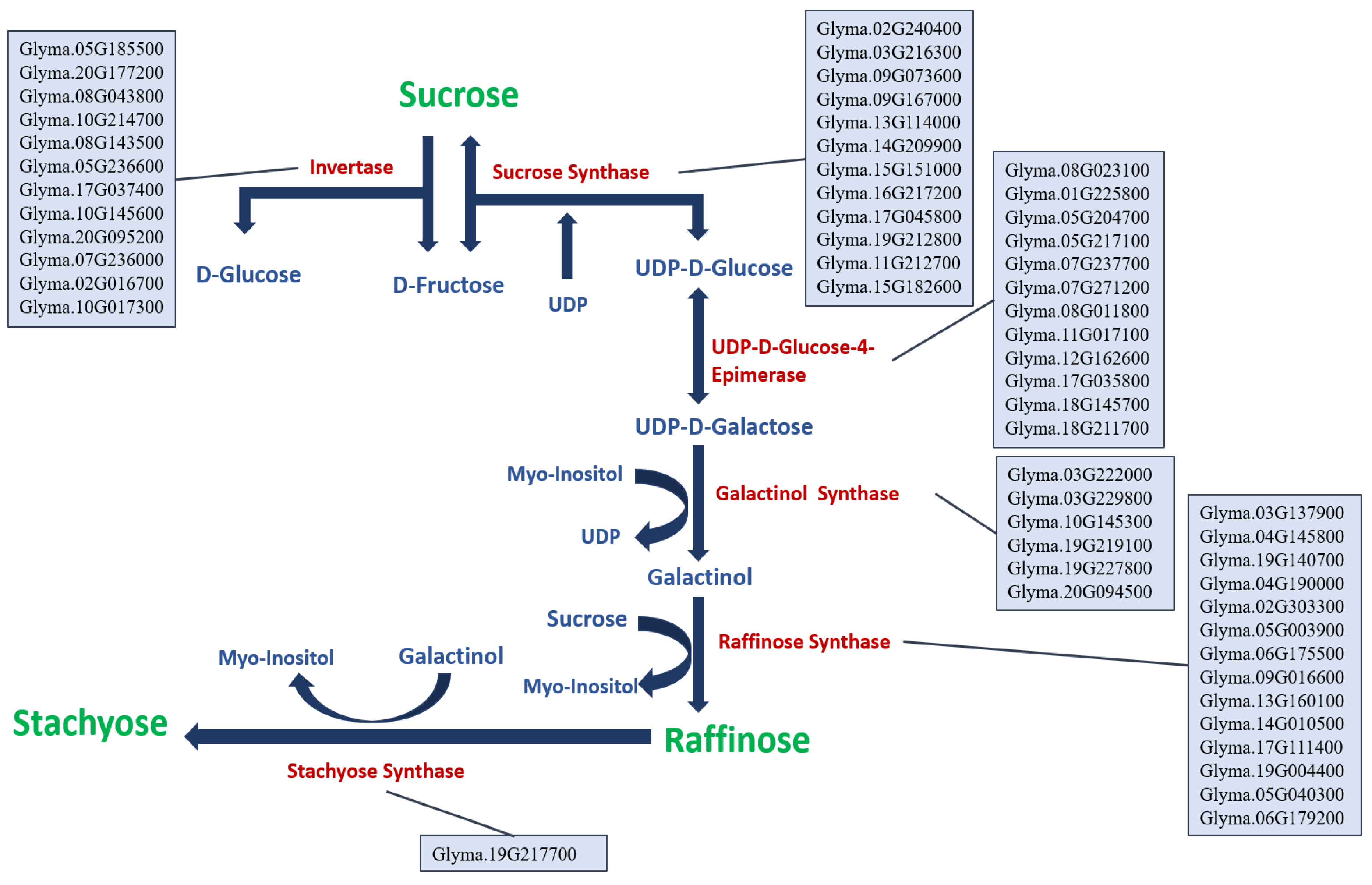 Plants 12 03498 g002 Plants 12 03498 g002