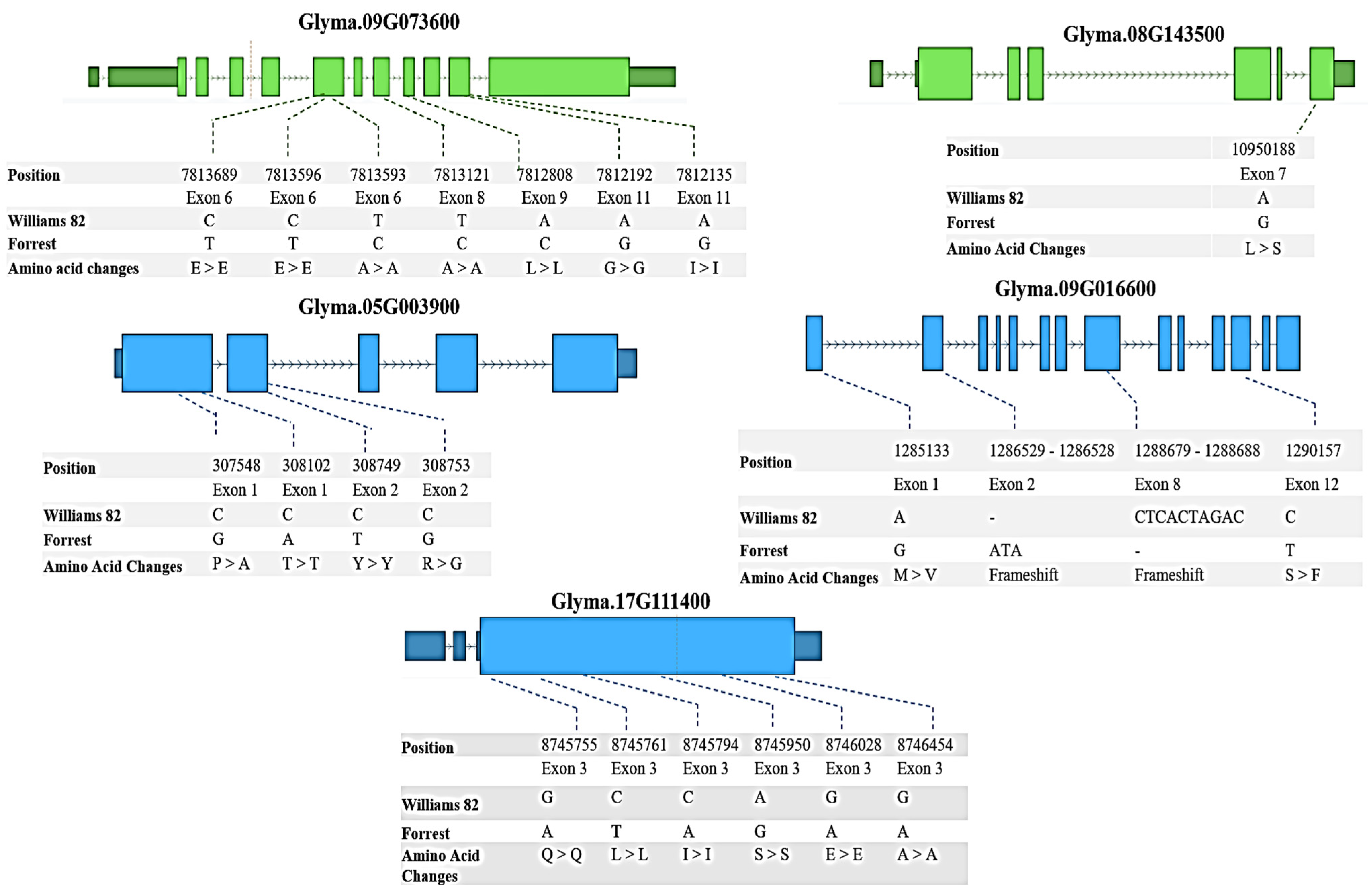 Plants 12 03498 g004 Plants 12 03498 g004