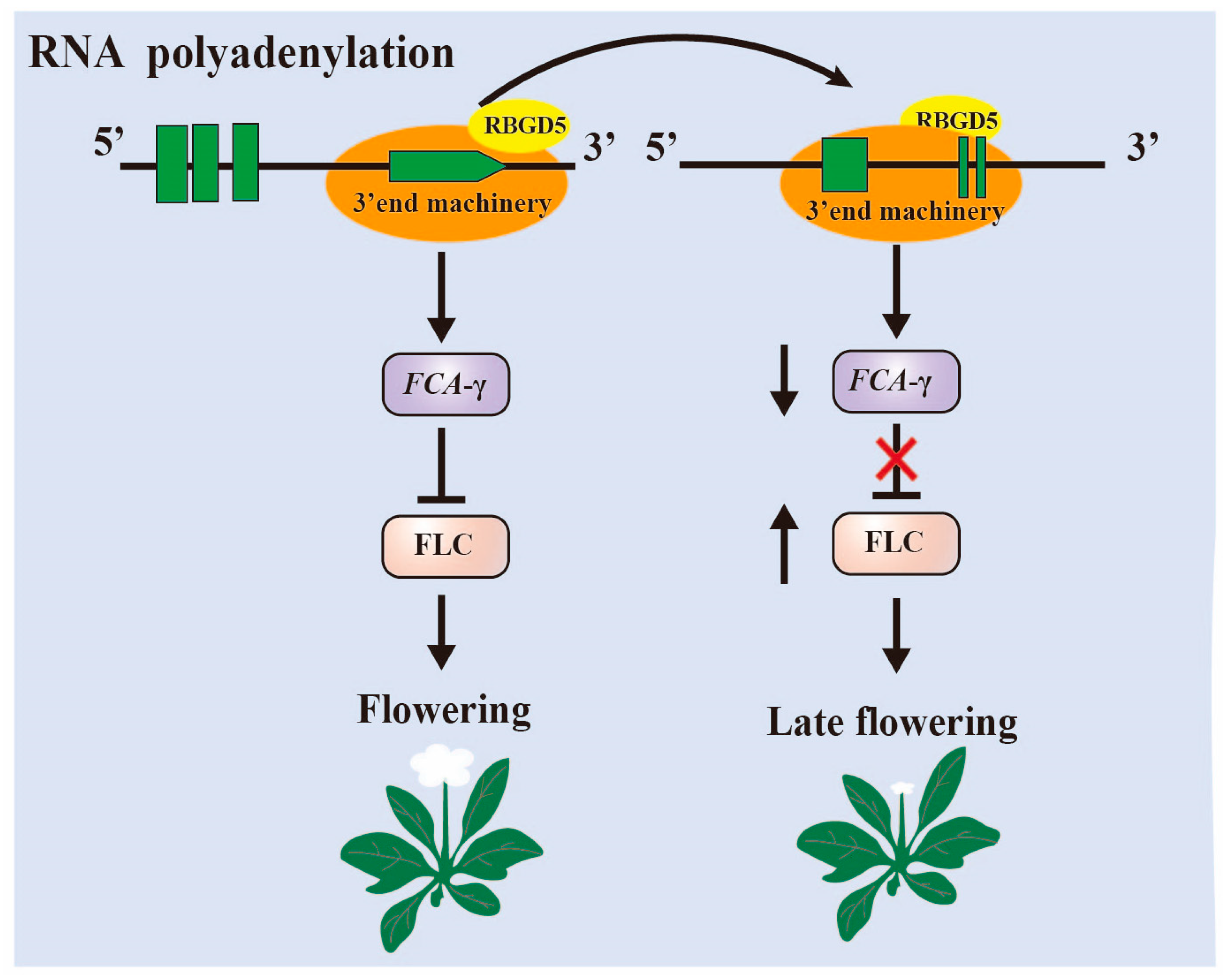 Plants 12 03504 g002