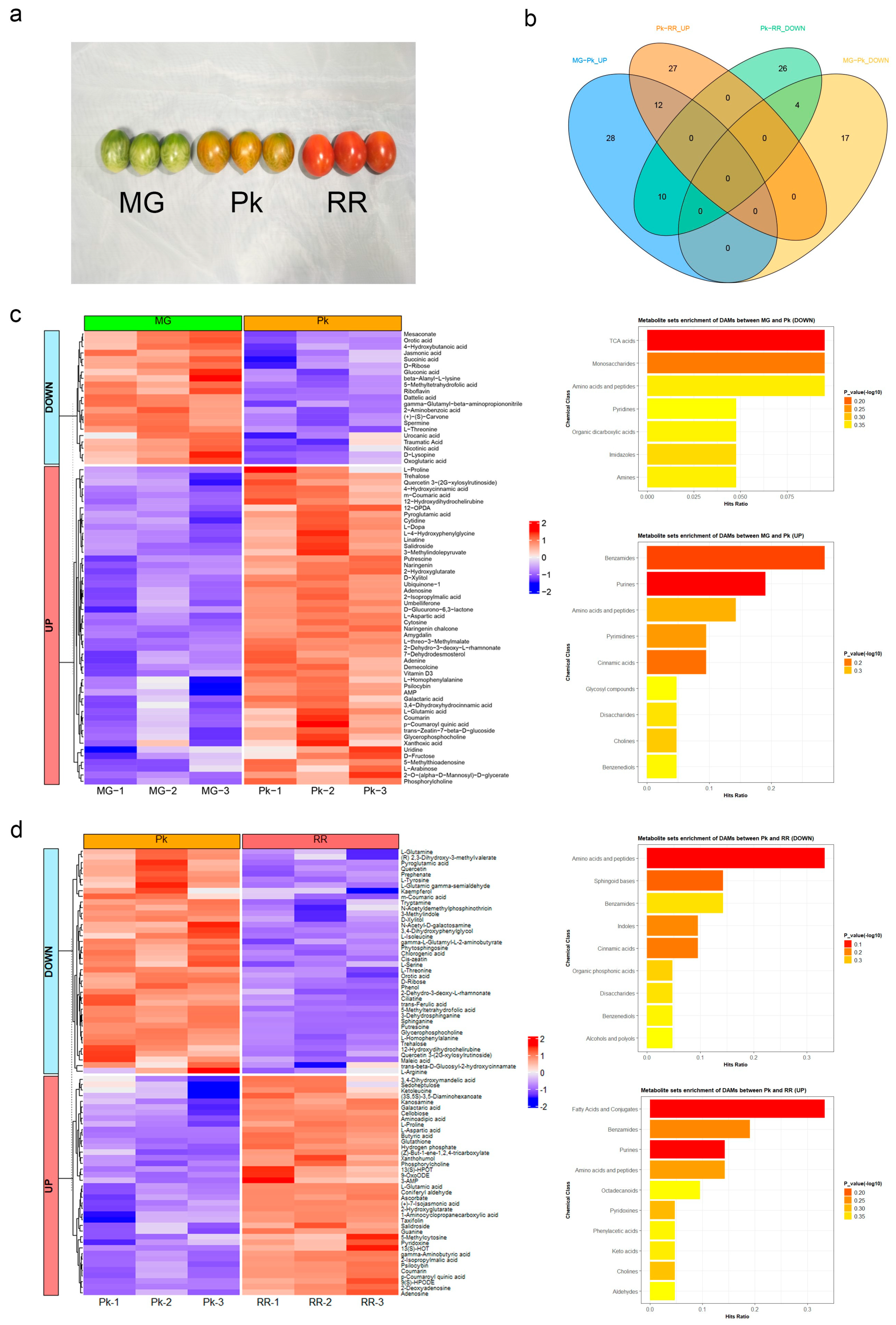 Plants 12 03505 g001