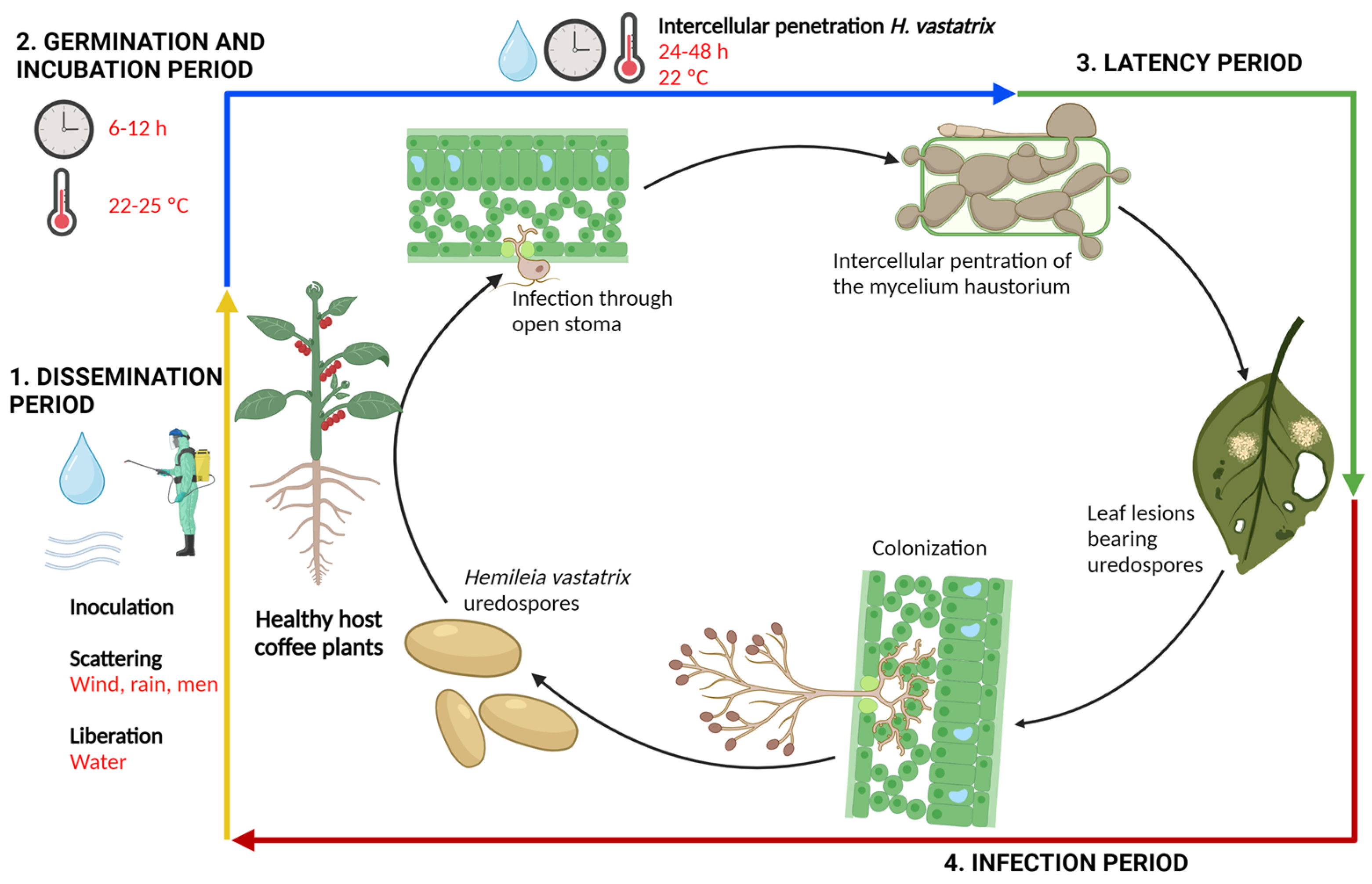 Plants 12 03519 g002