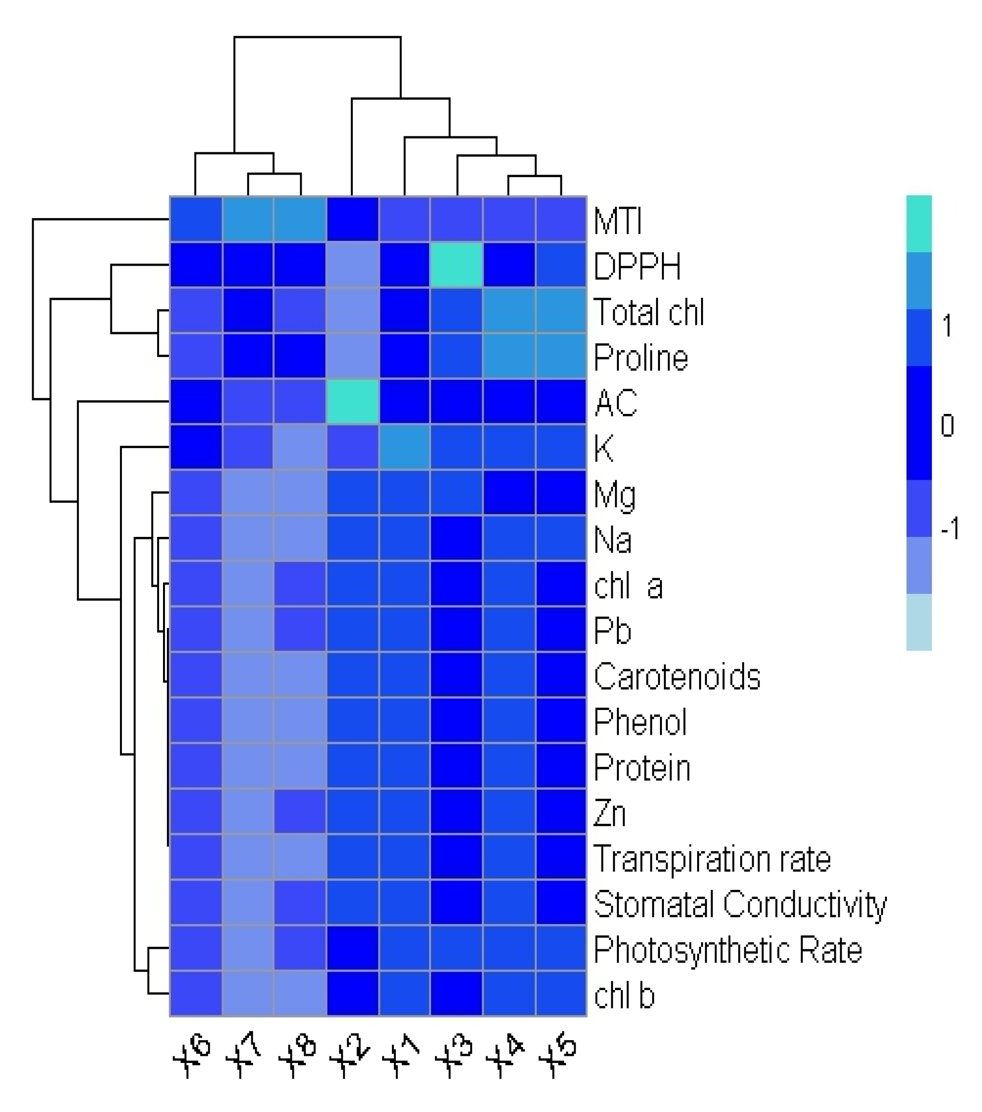 Plants 12 03528 g004