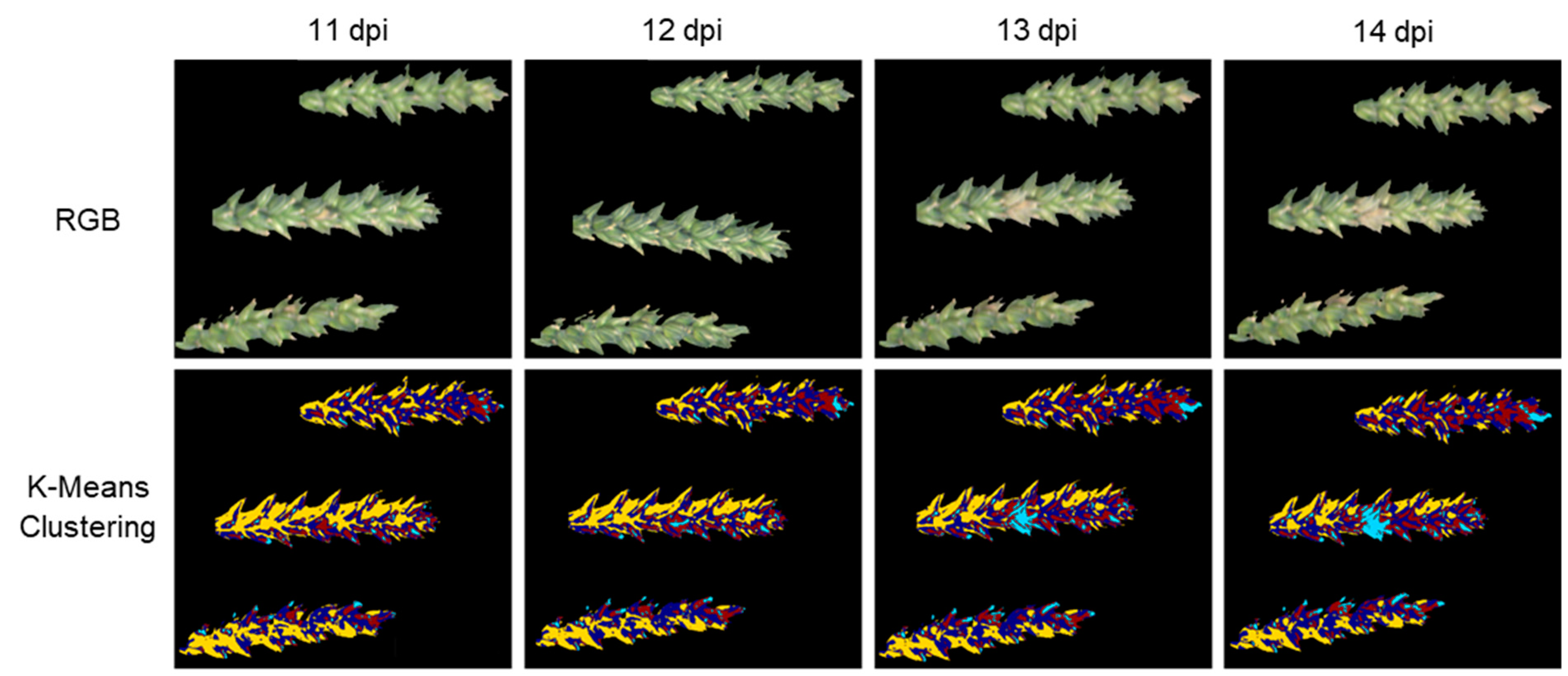 Plants 12 03534 g005