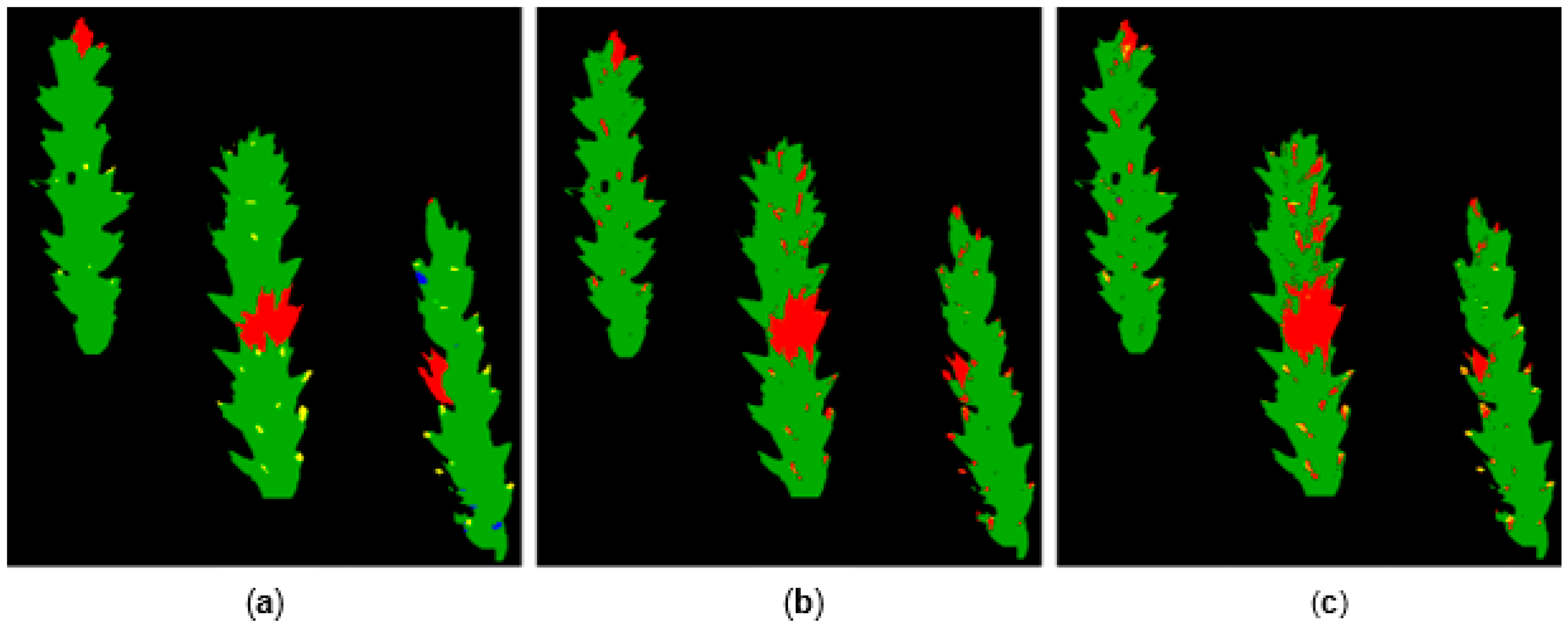 Plants 12 03534 g006
