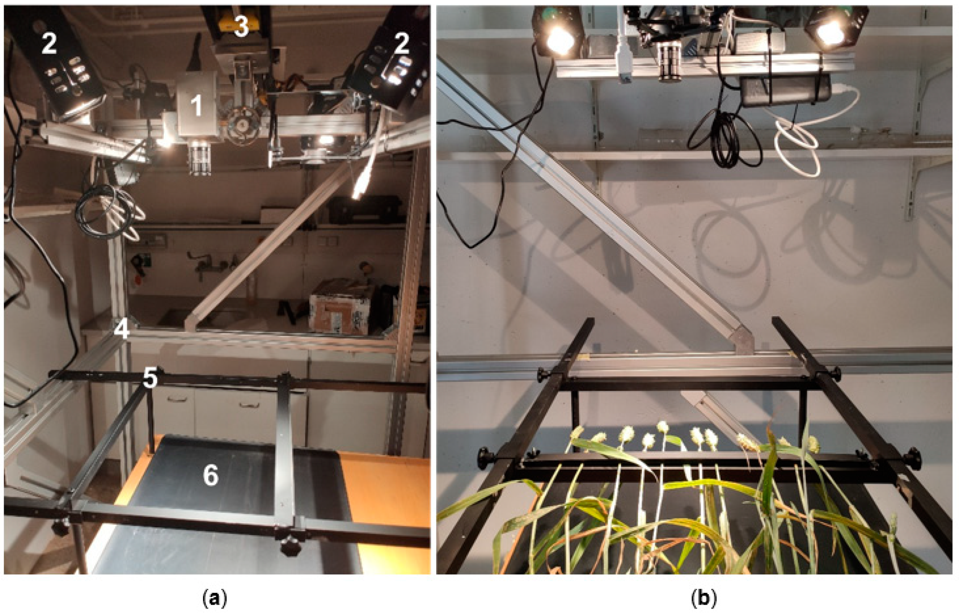 Plants 12 03534 g011