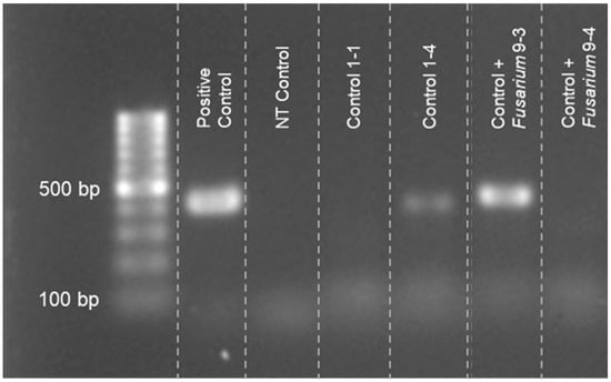 Plants 12 03534 g0a1