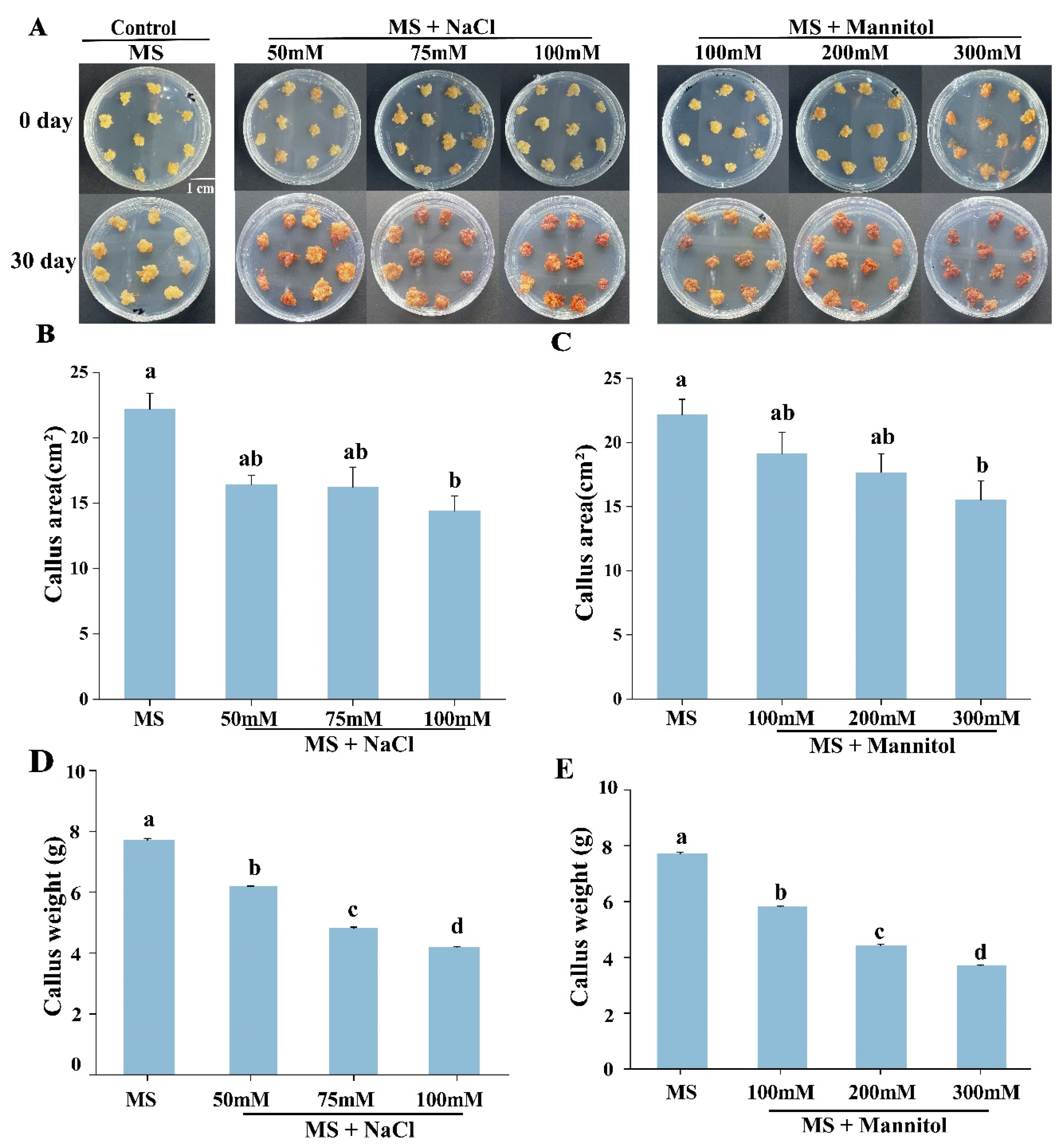 Plants 12 03535 g005