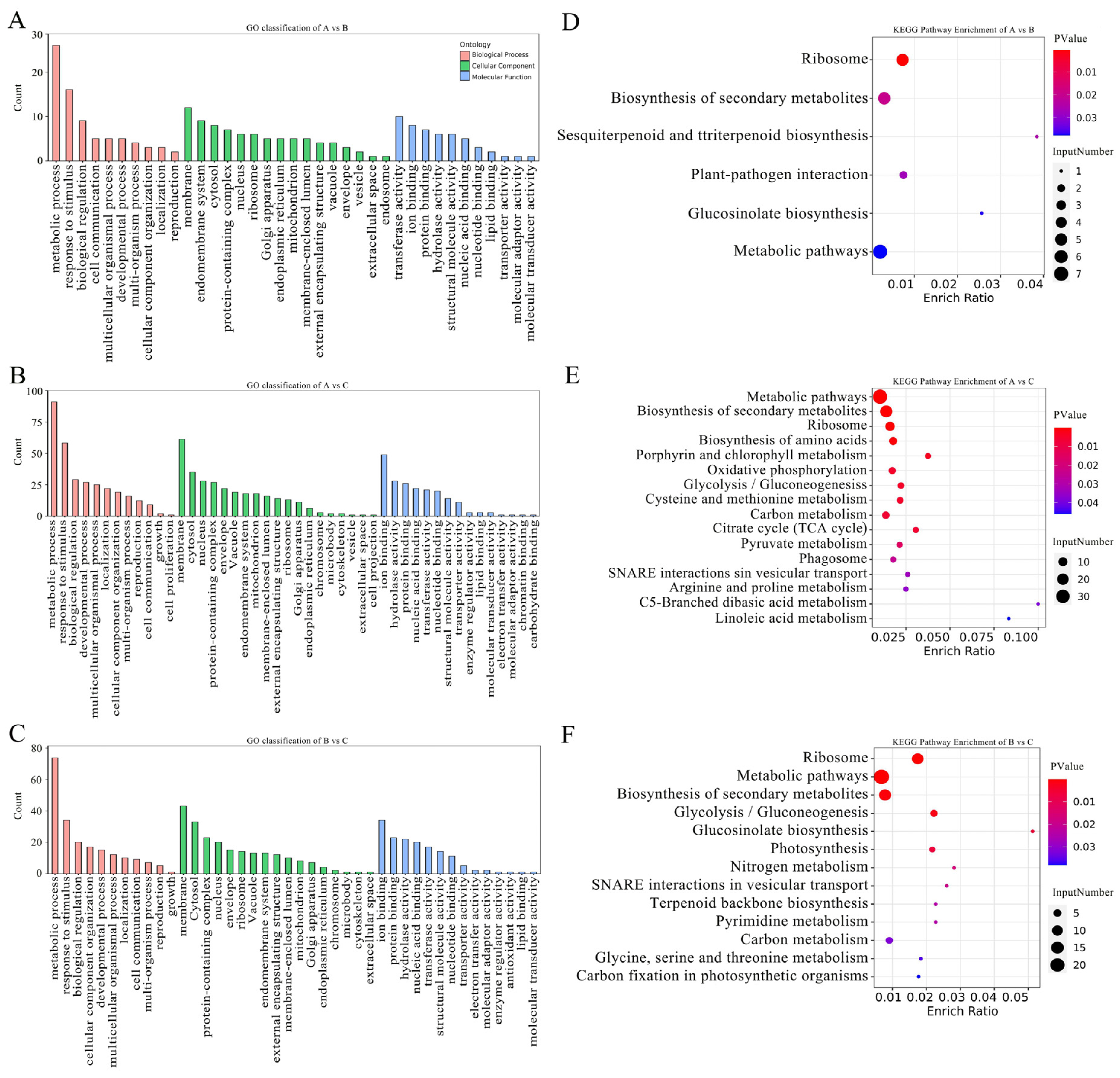 Plants 12 03542 g007