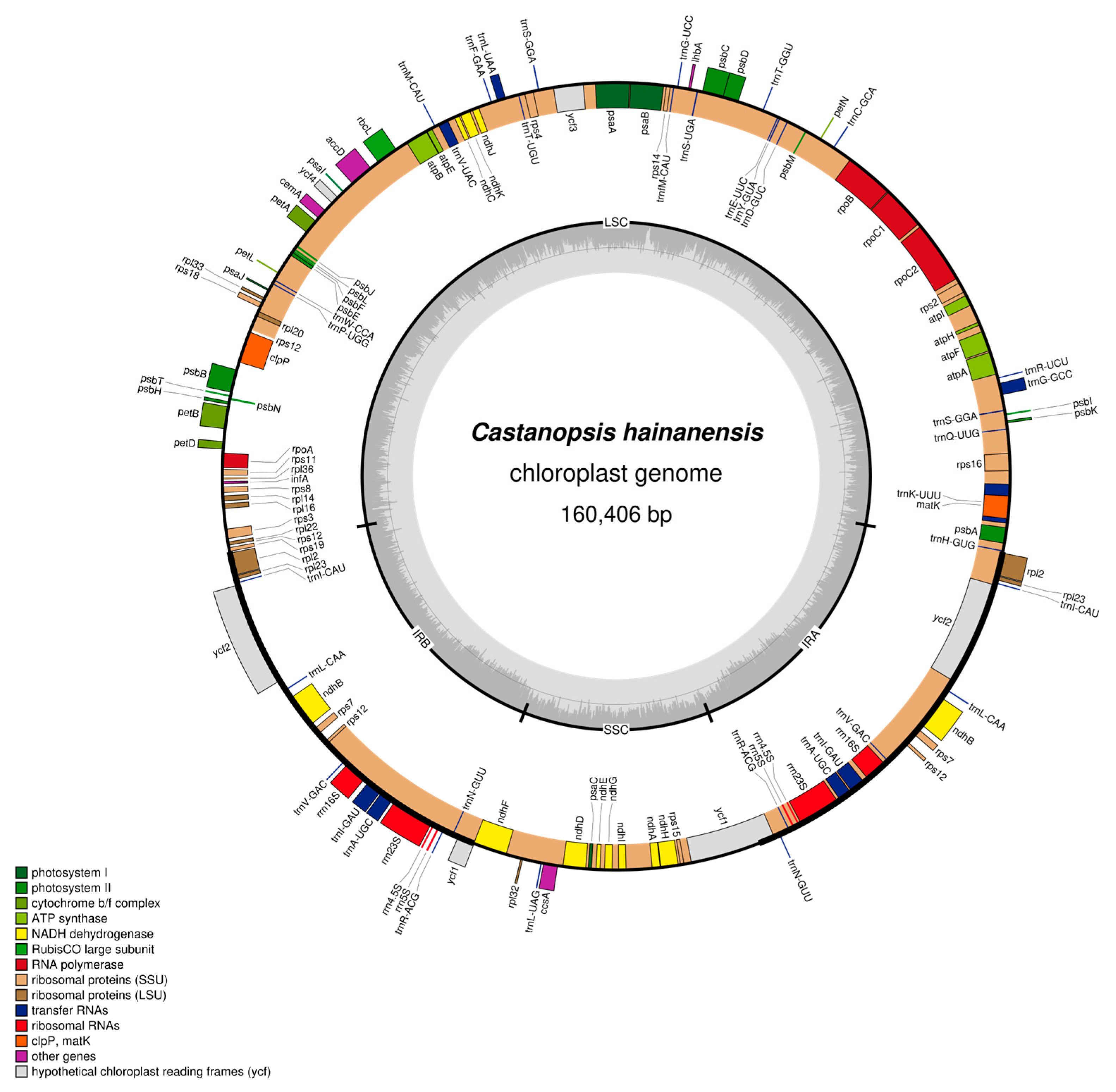 Plants 12 03544 g003