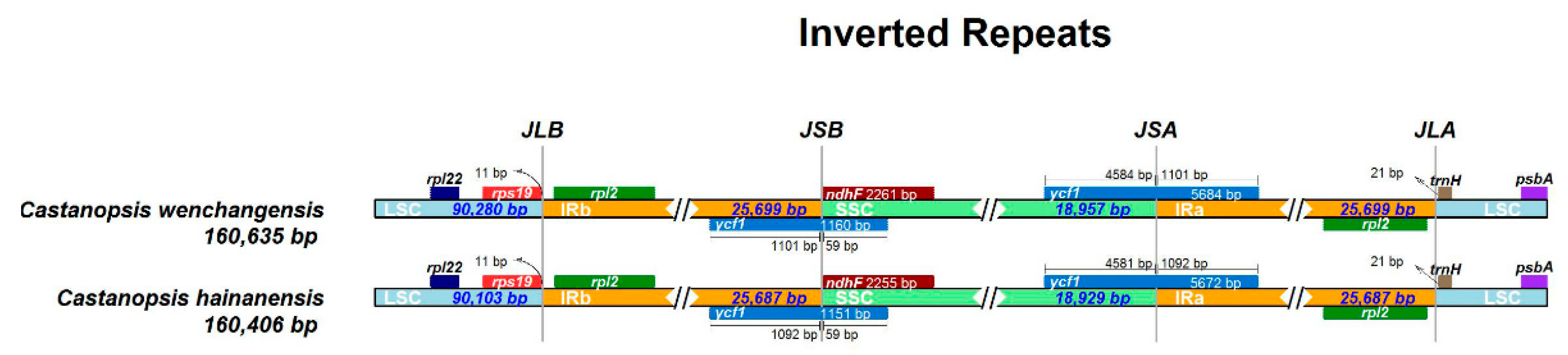 Plants 12 03544 g005