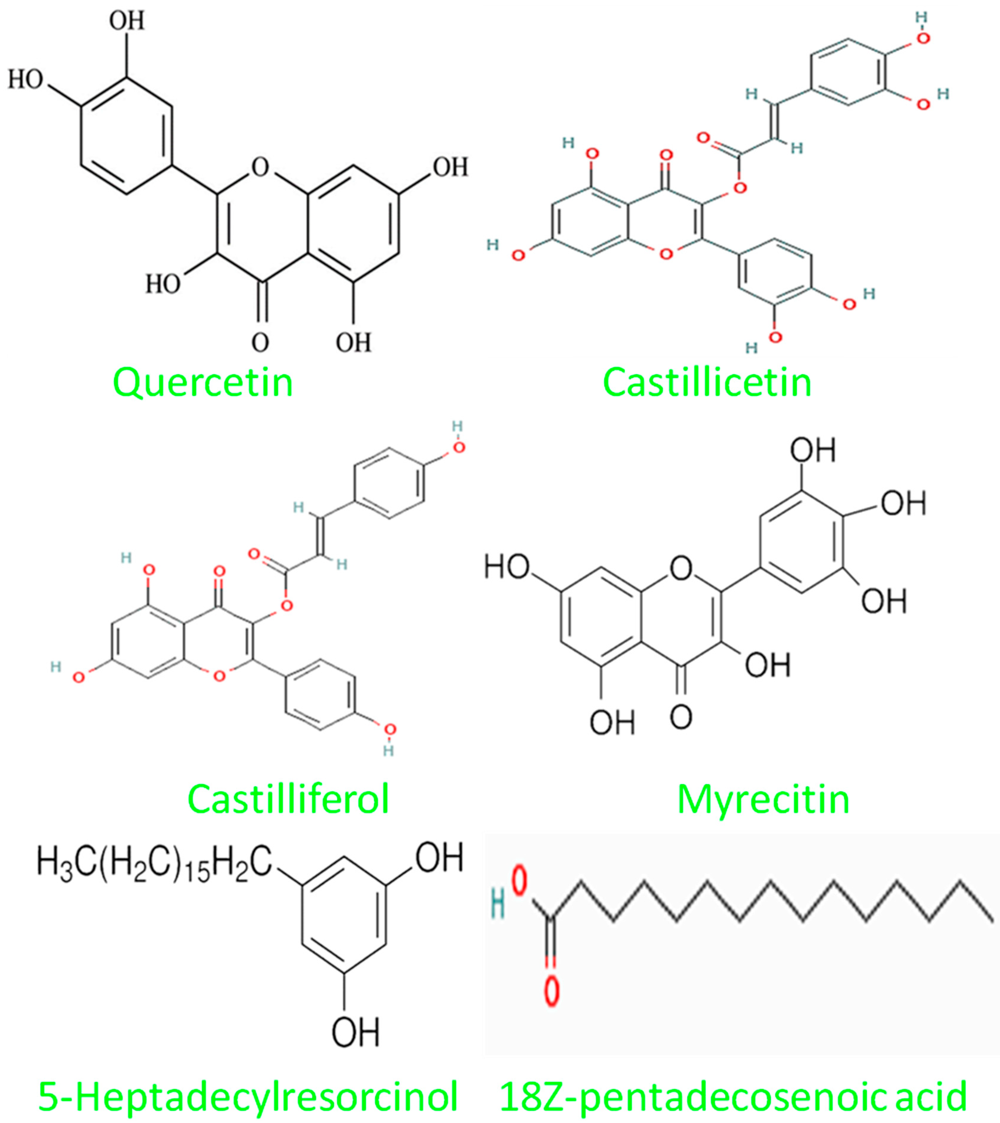 Plants 12 03547 g005