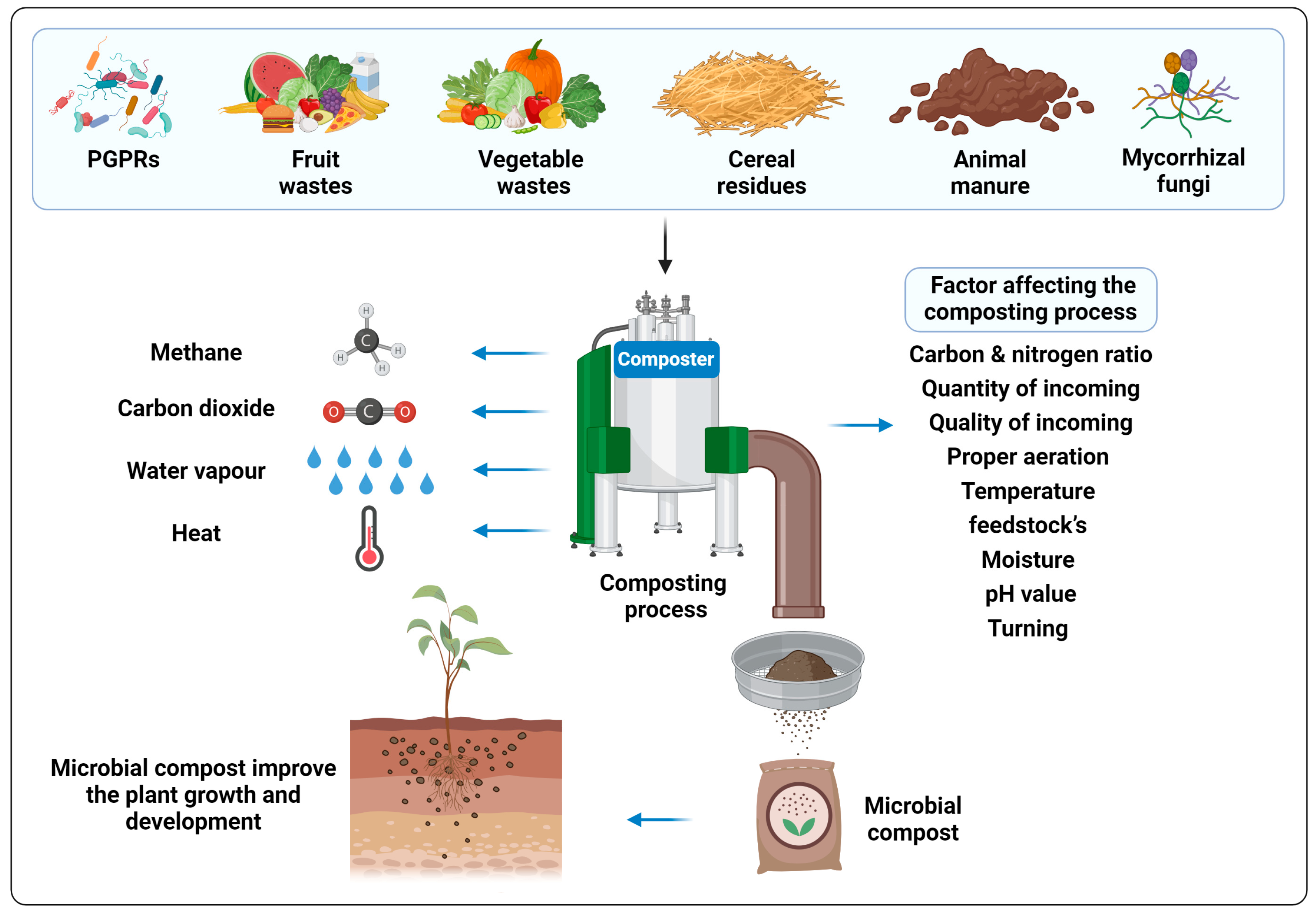 Plants 12 03550 g001