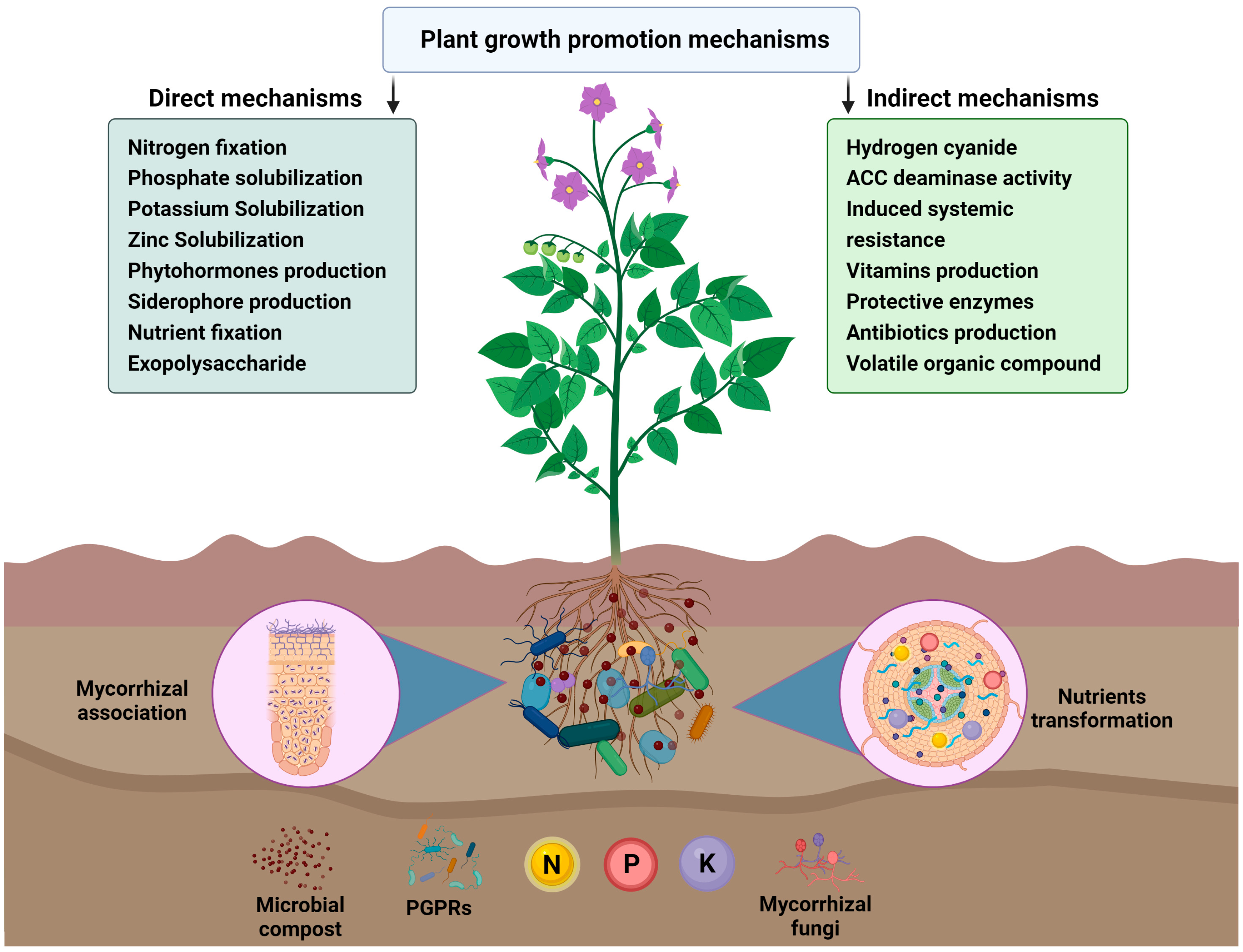 Plants 12 03550 g002