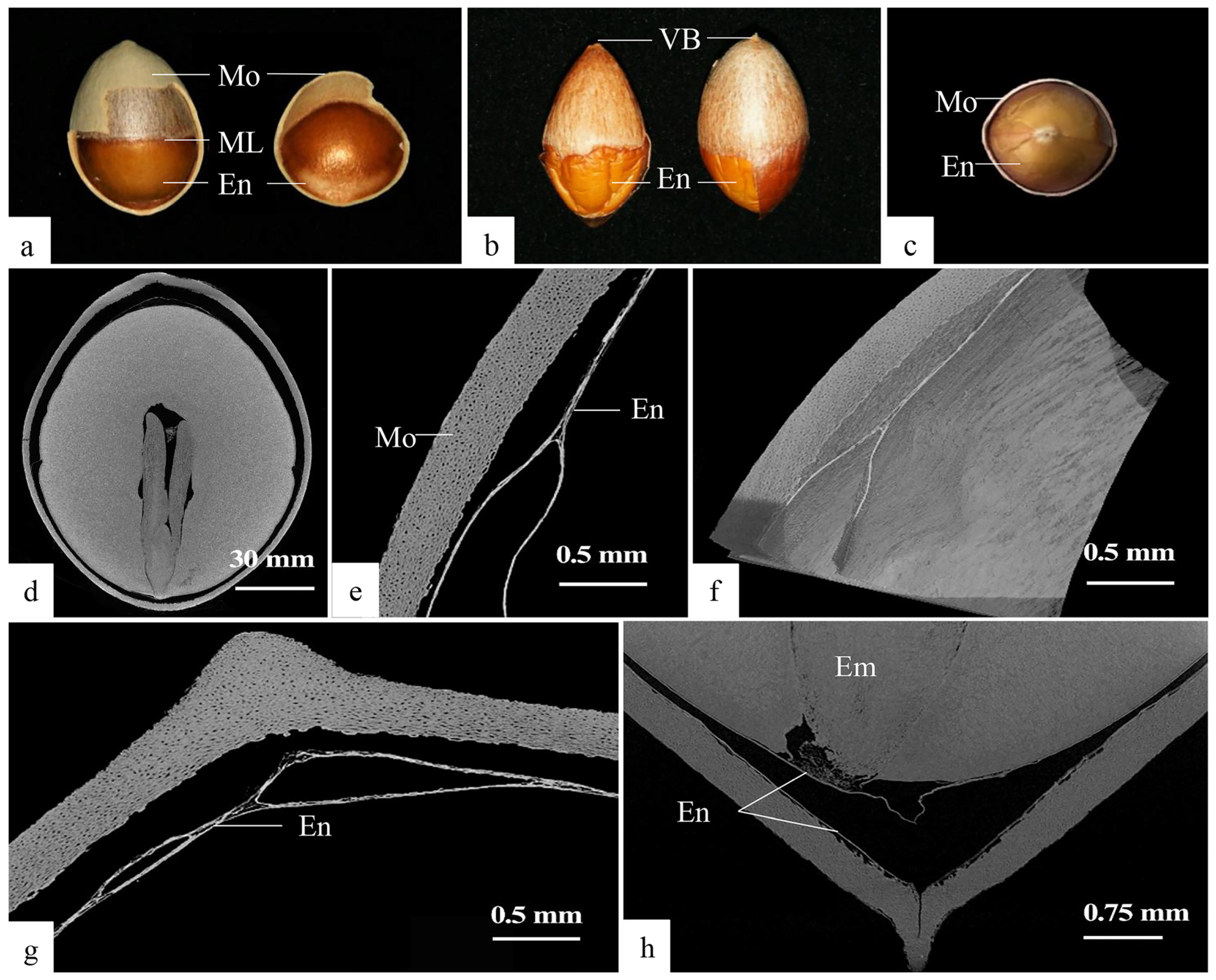 Plants 12 03560 g008 Plants 12 03560 g008