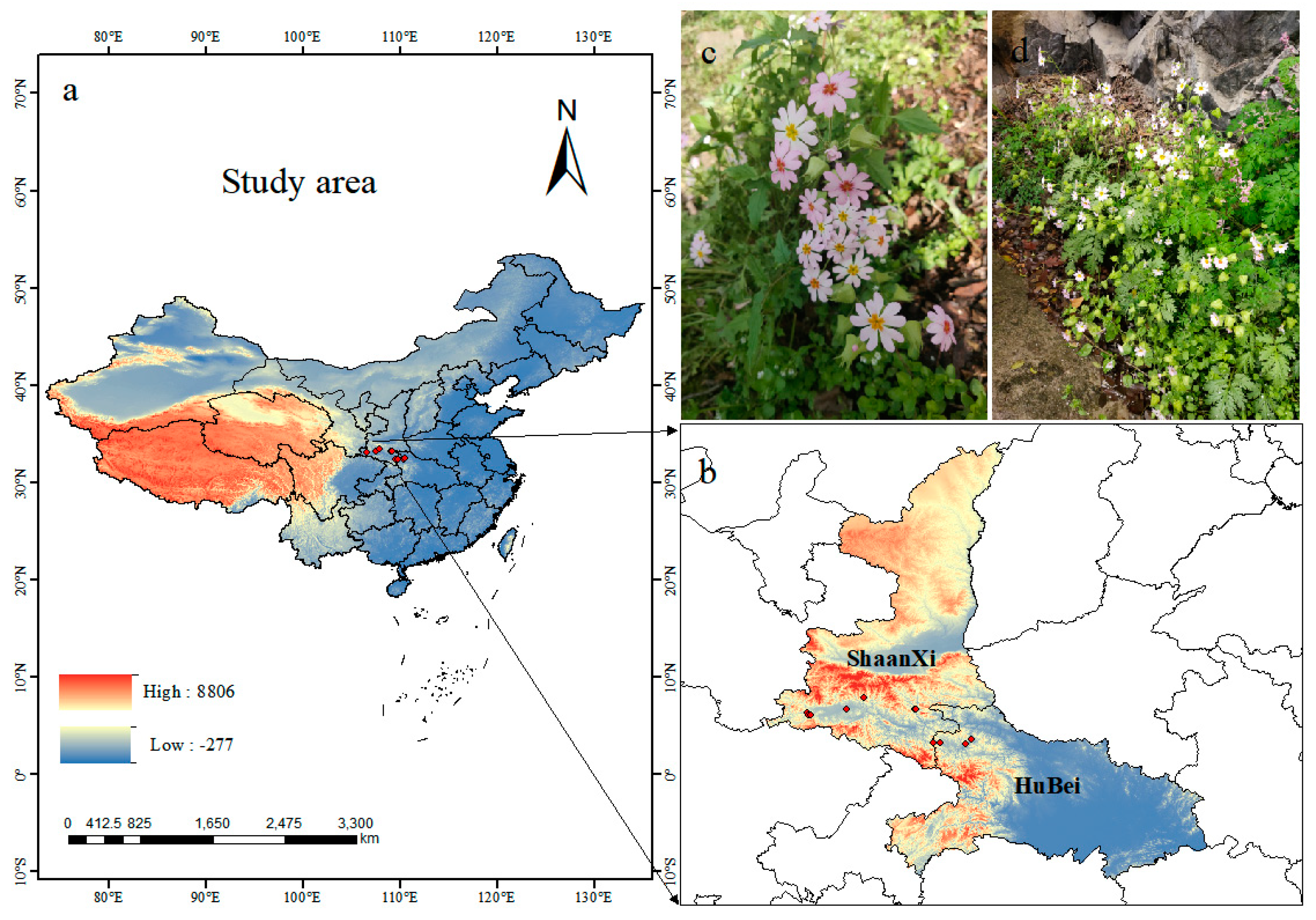 Plants 12 03561 g007