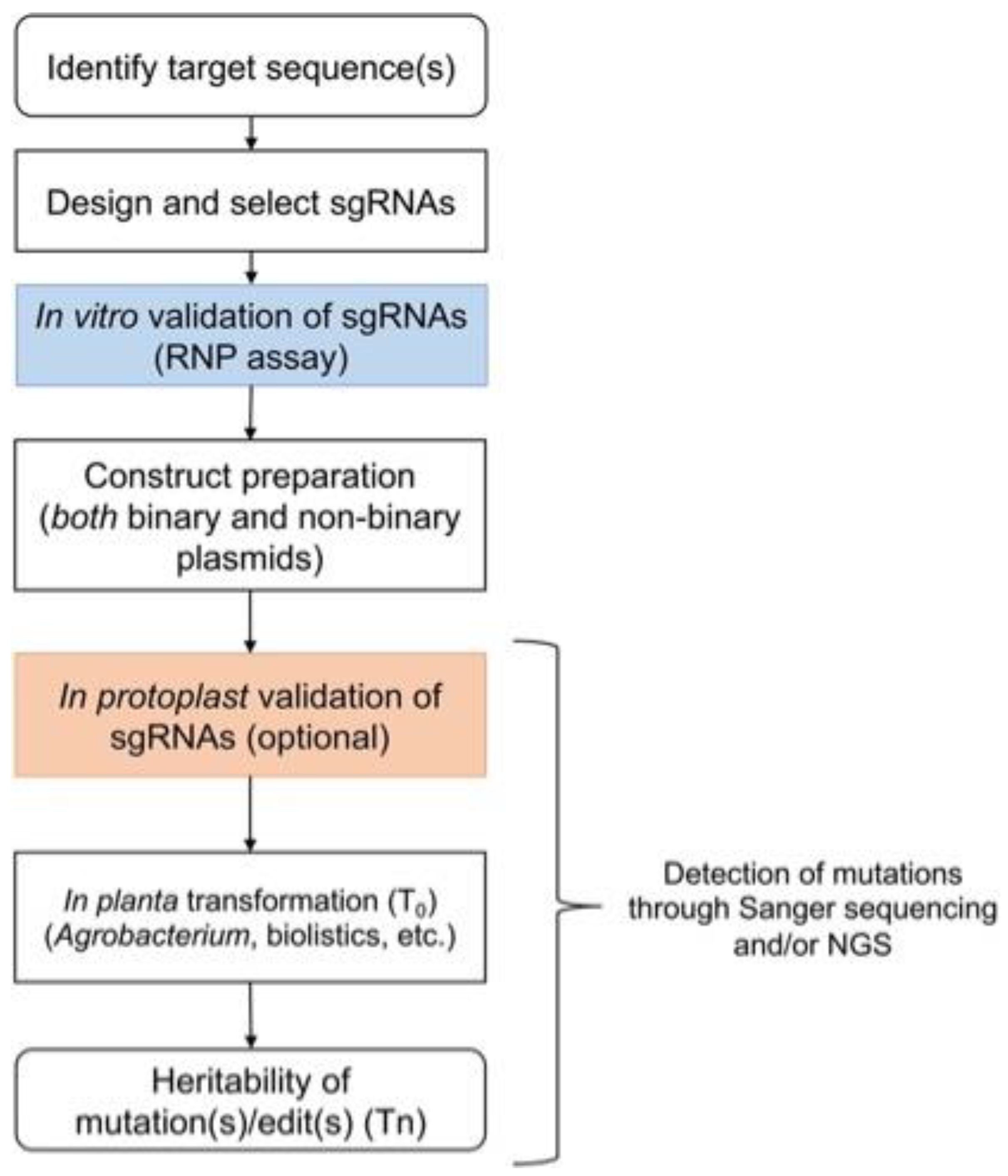 Plants 12 03564 g001