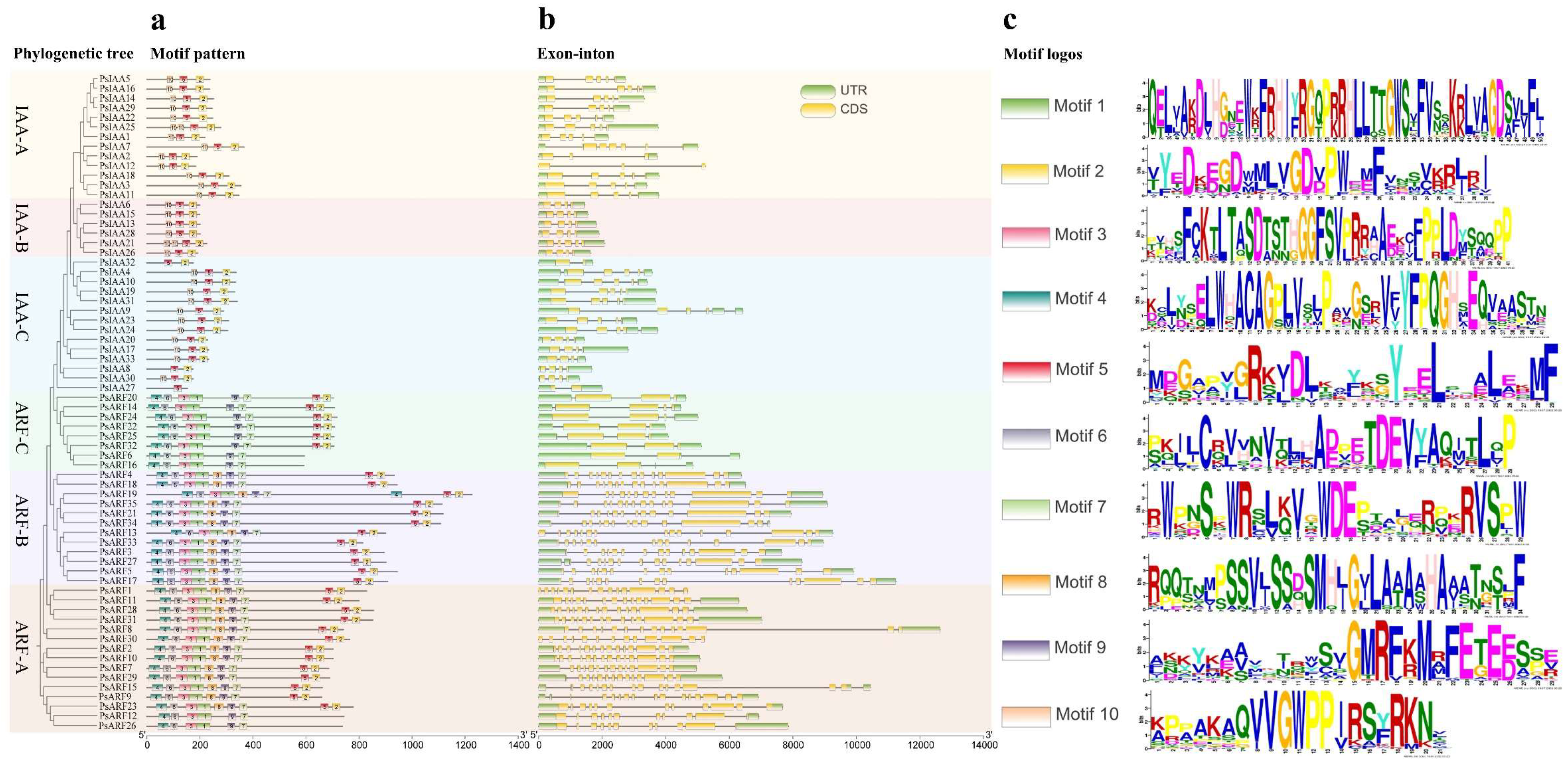 Plants 12 03566 g002