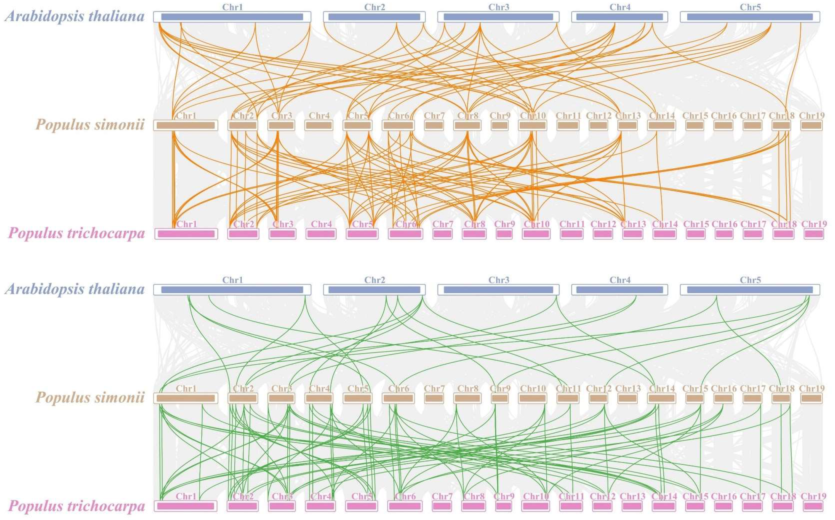 Plants 12 03566 g005