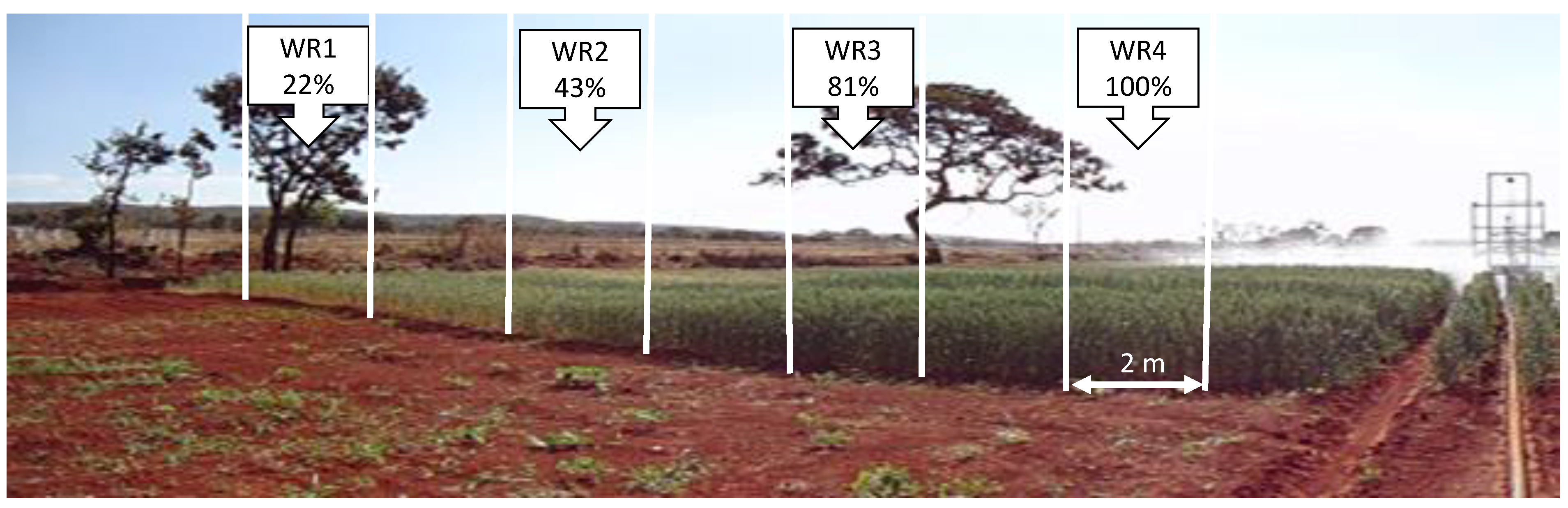 Plants 12 03571 g006