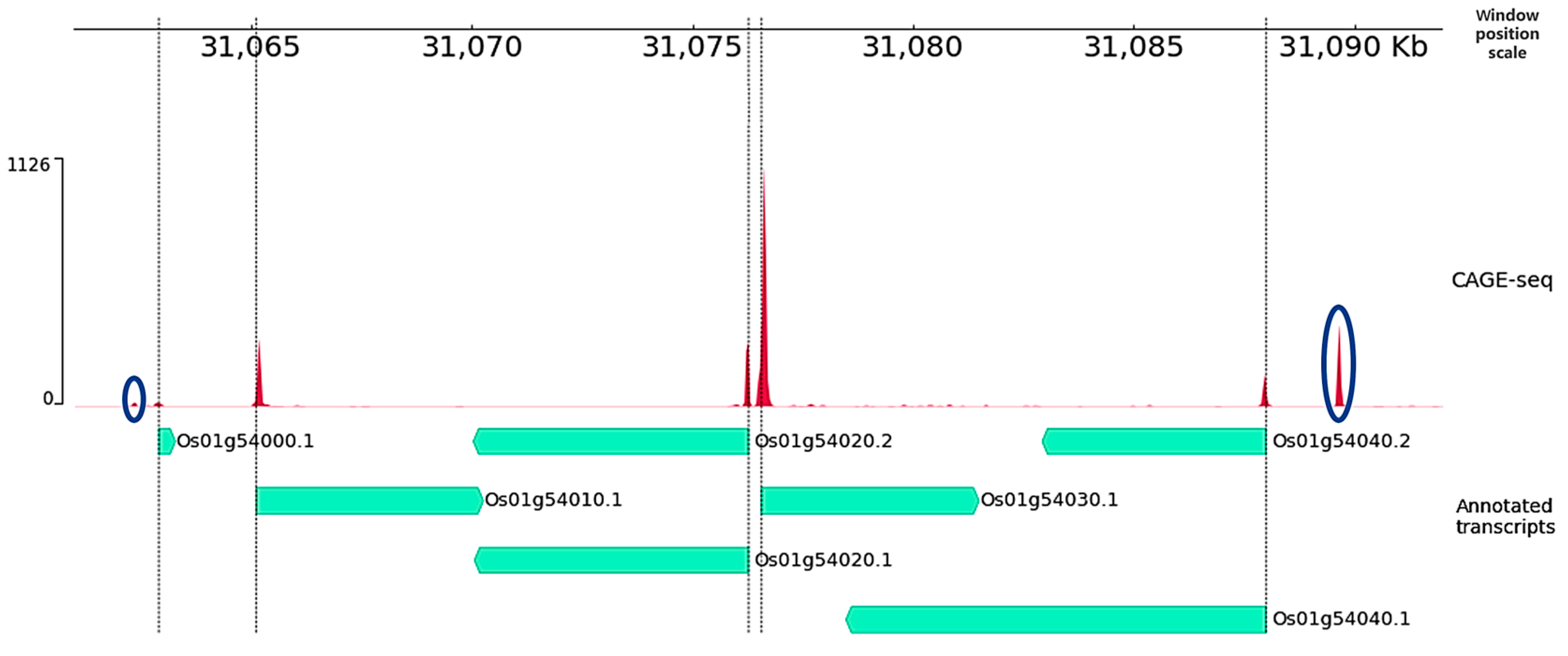 Plants 12 03573 g001