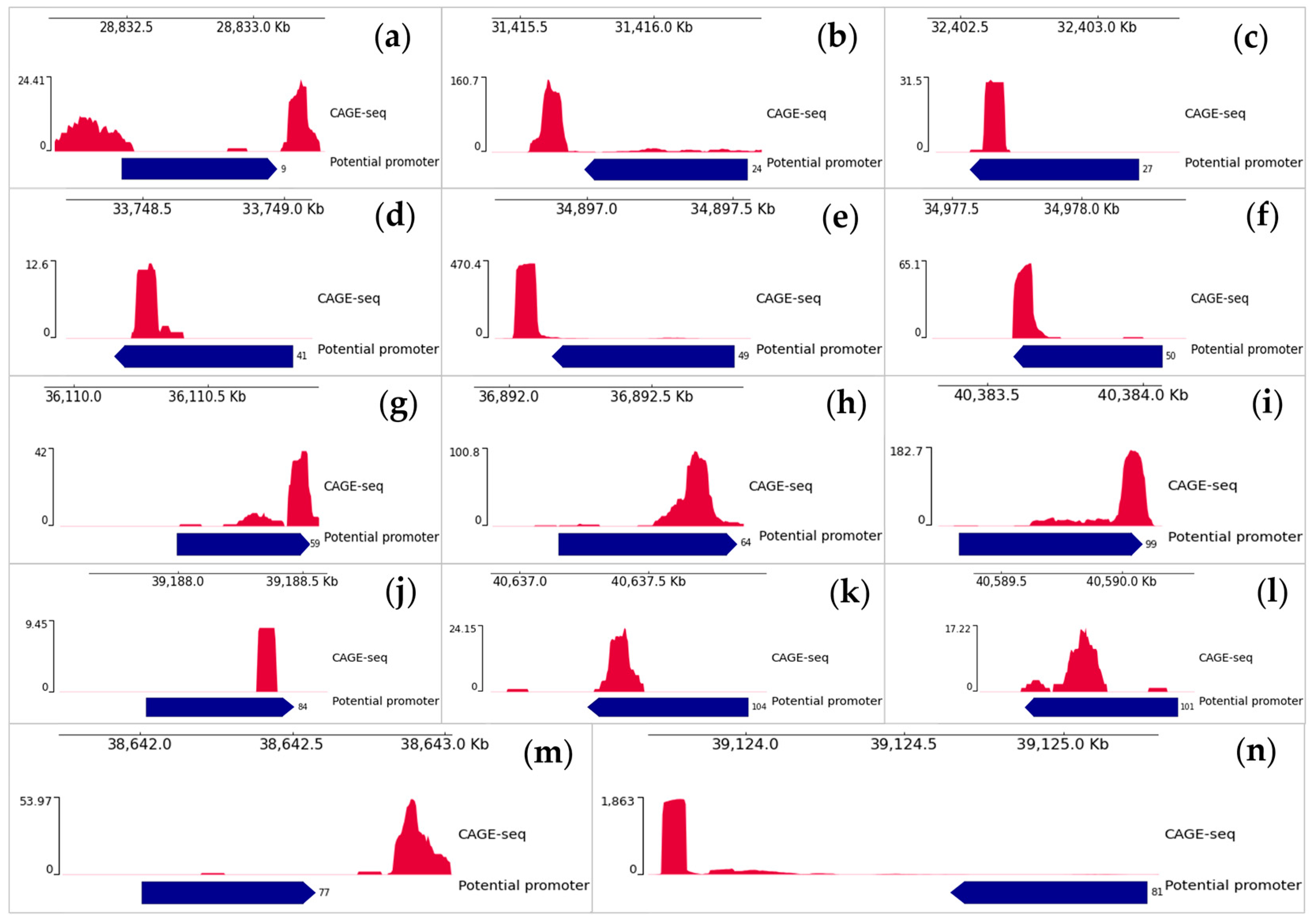 Plants 12 03573 g002