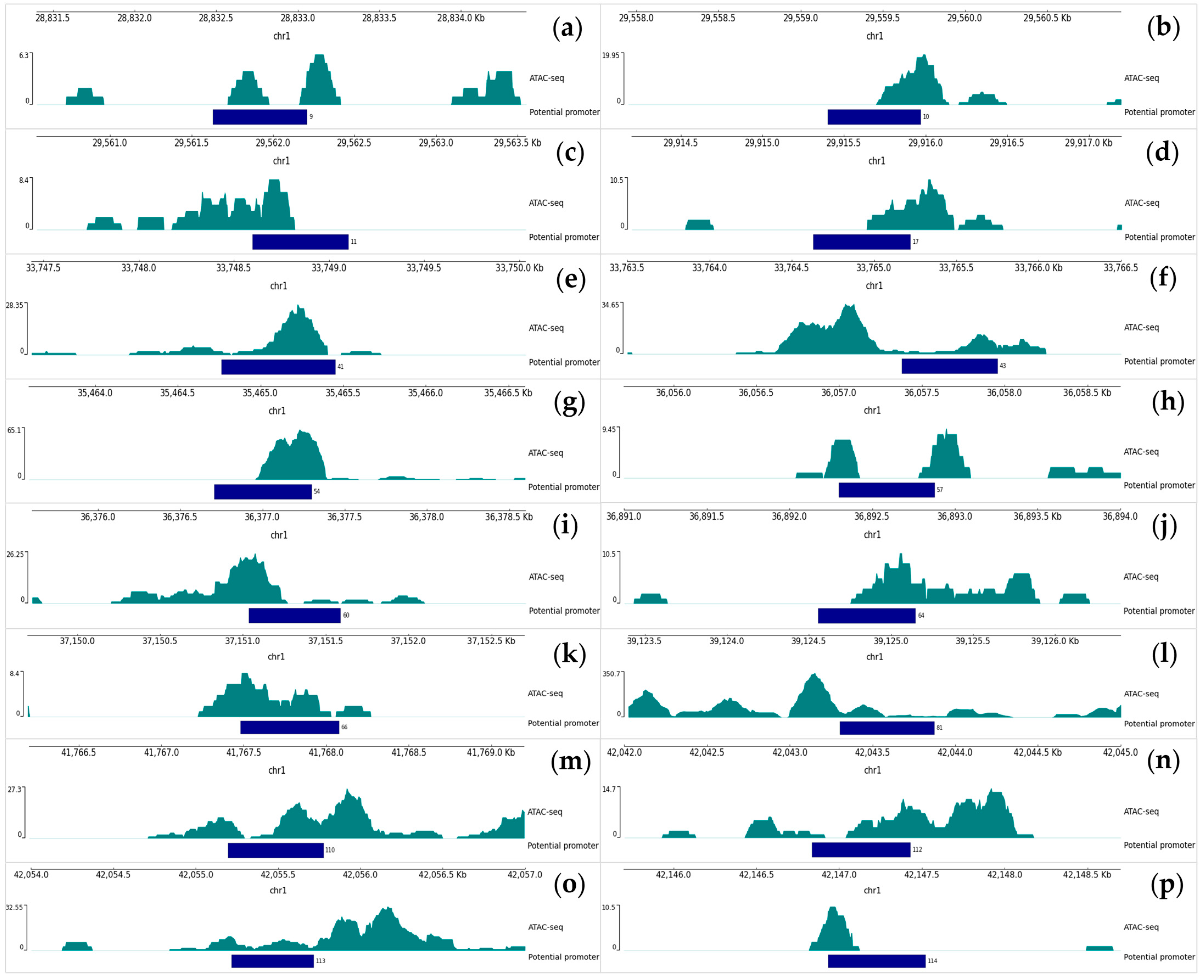 Plants 12 03573 g003