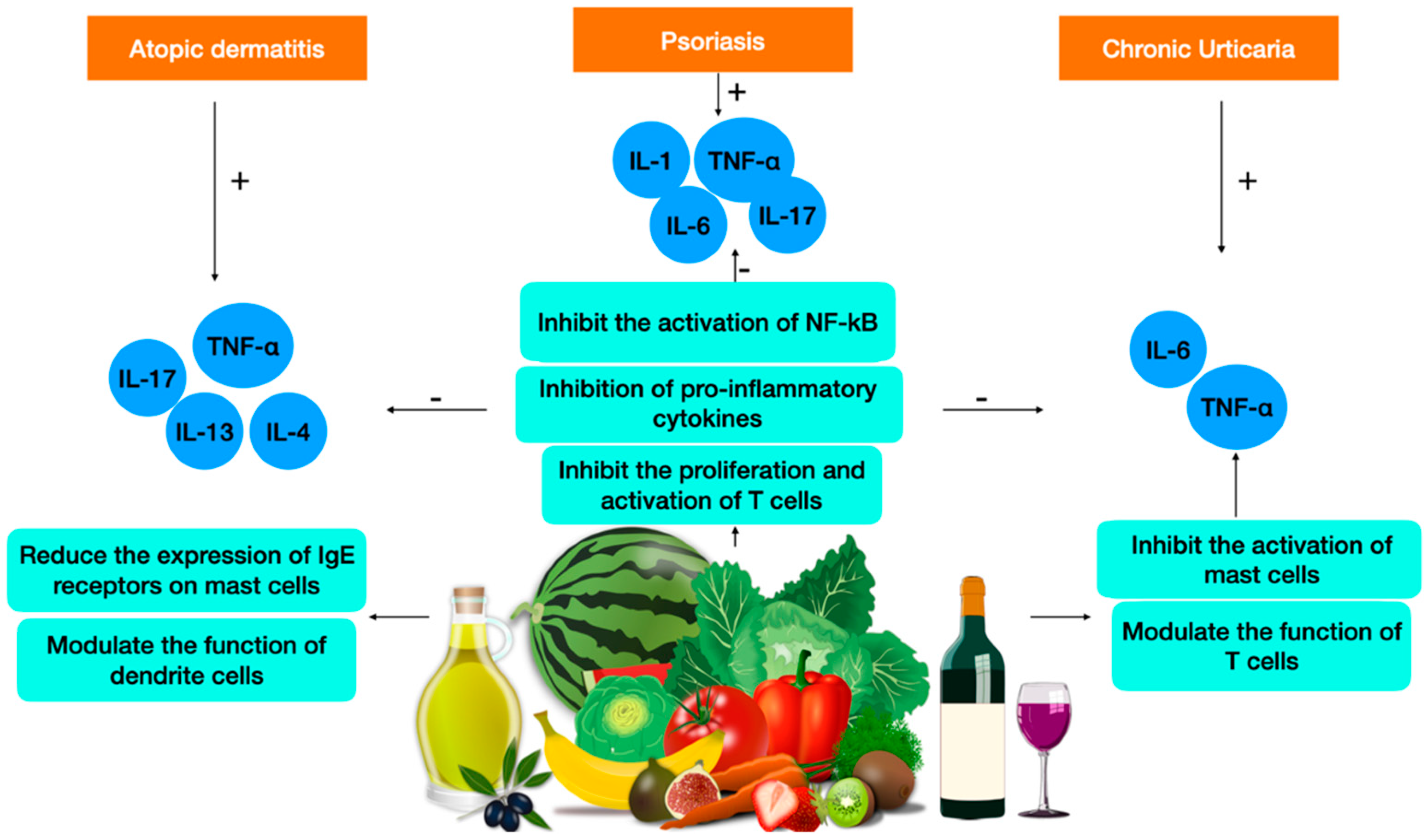 Plants 12 03579 g002